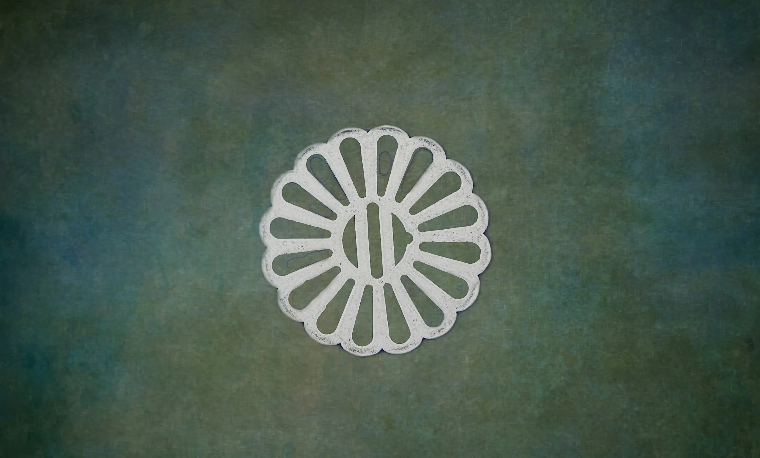 Chrysanthemum, Wagi.jpg