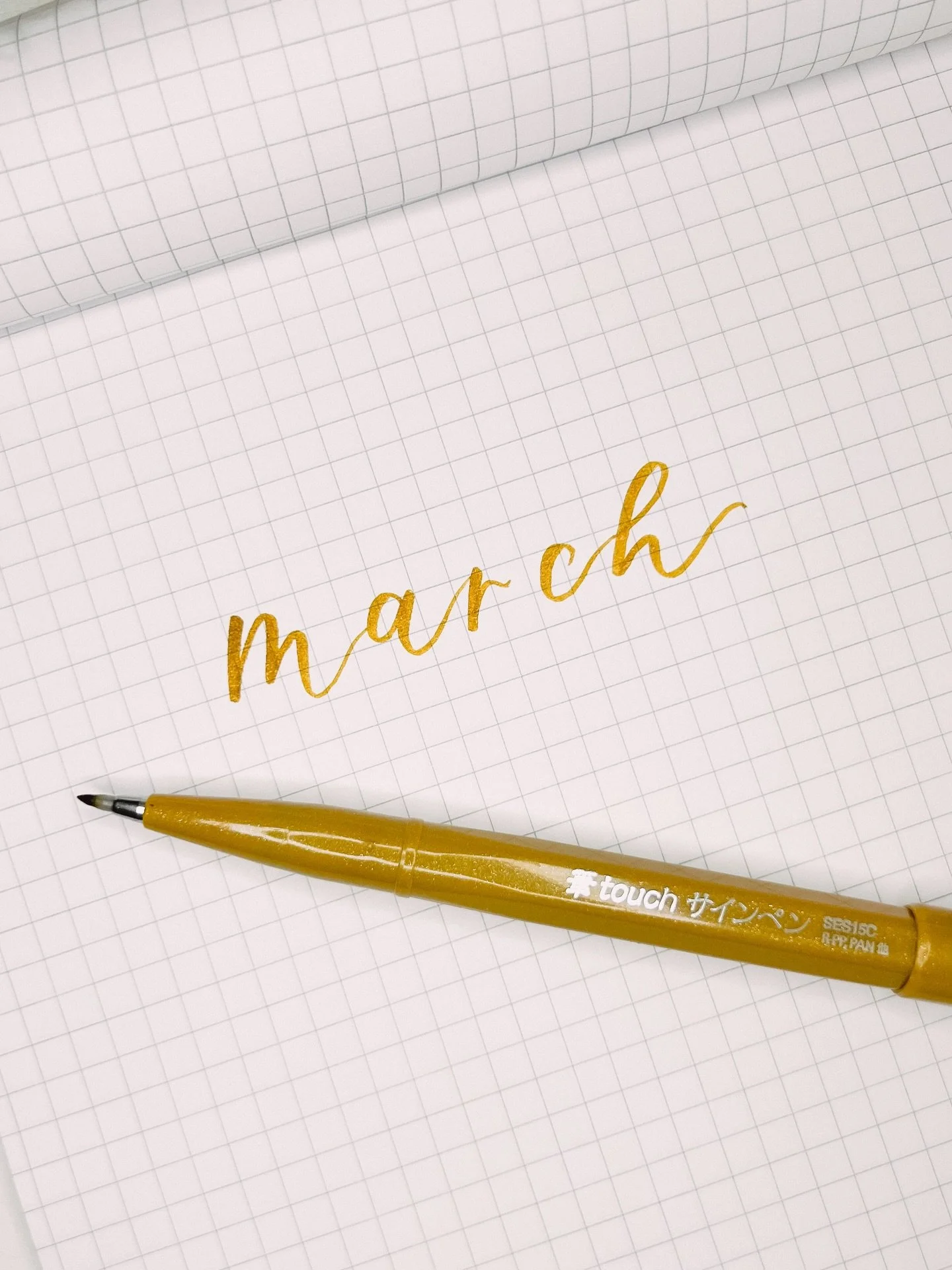 Extended style calligraphy practice 😍
Currently working on FREE practice sheets for this style &mdash; stay tuned!

Comment &ldquo;extended&rdquo; and I&rsquo;ll let you know when they&rsquo;re available to download. 🖤