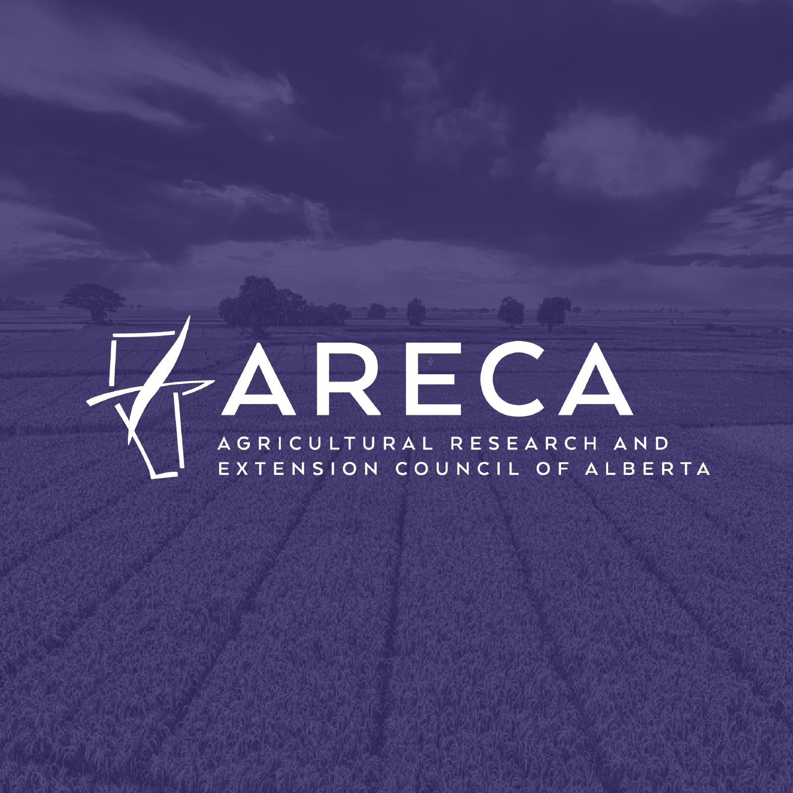 ARECA