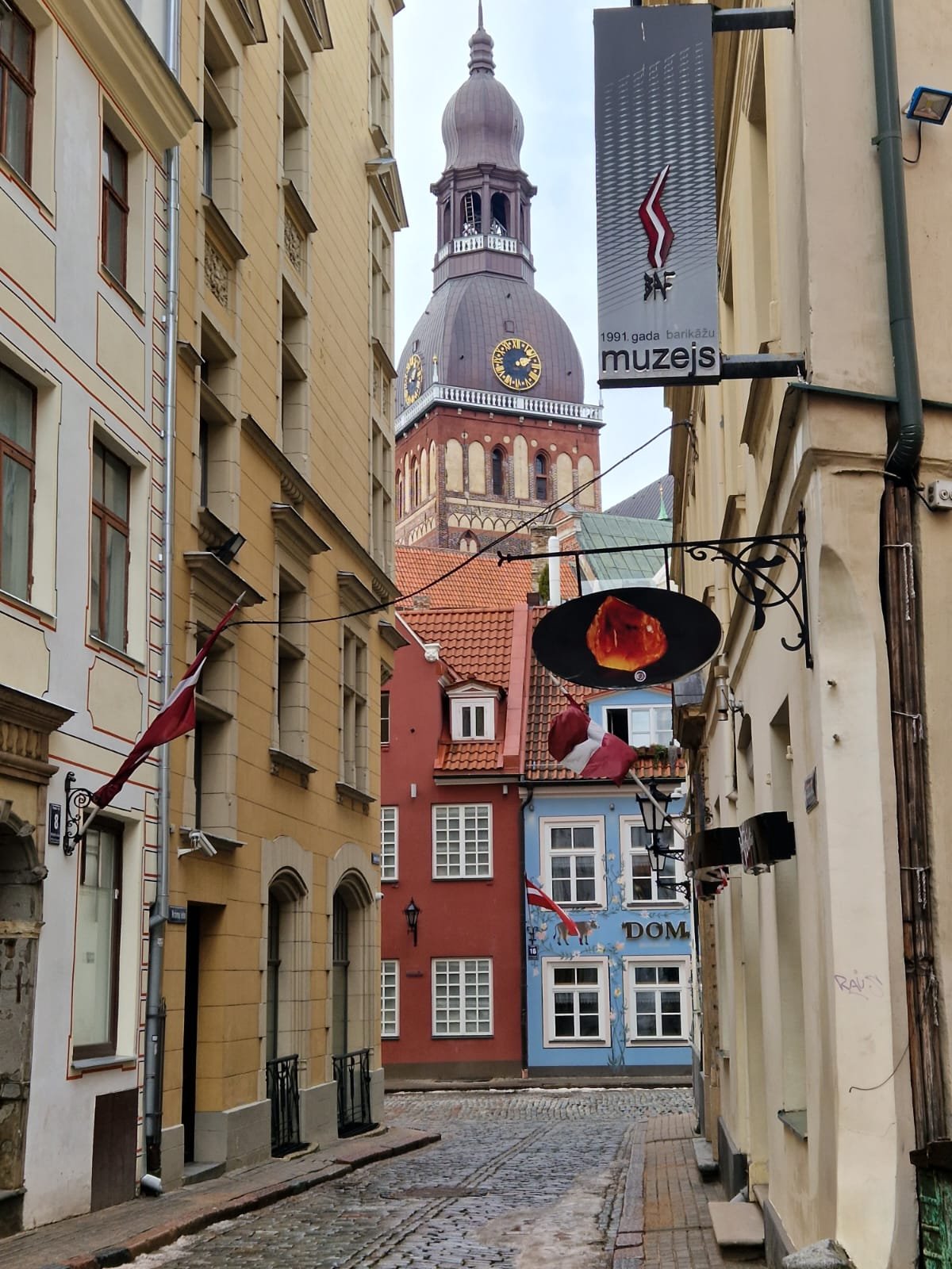 Ieva Article Pic 5.jpeg