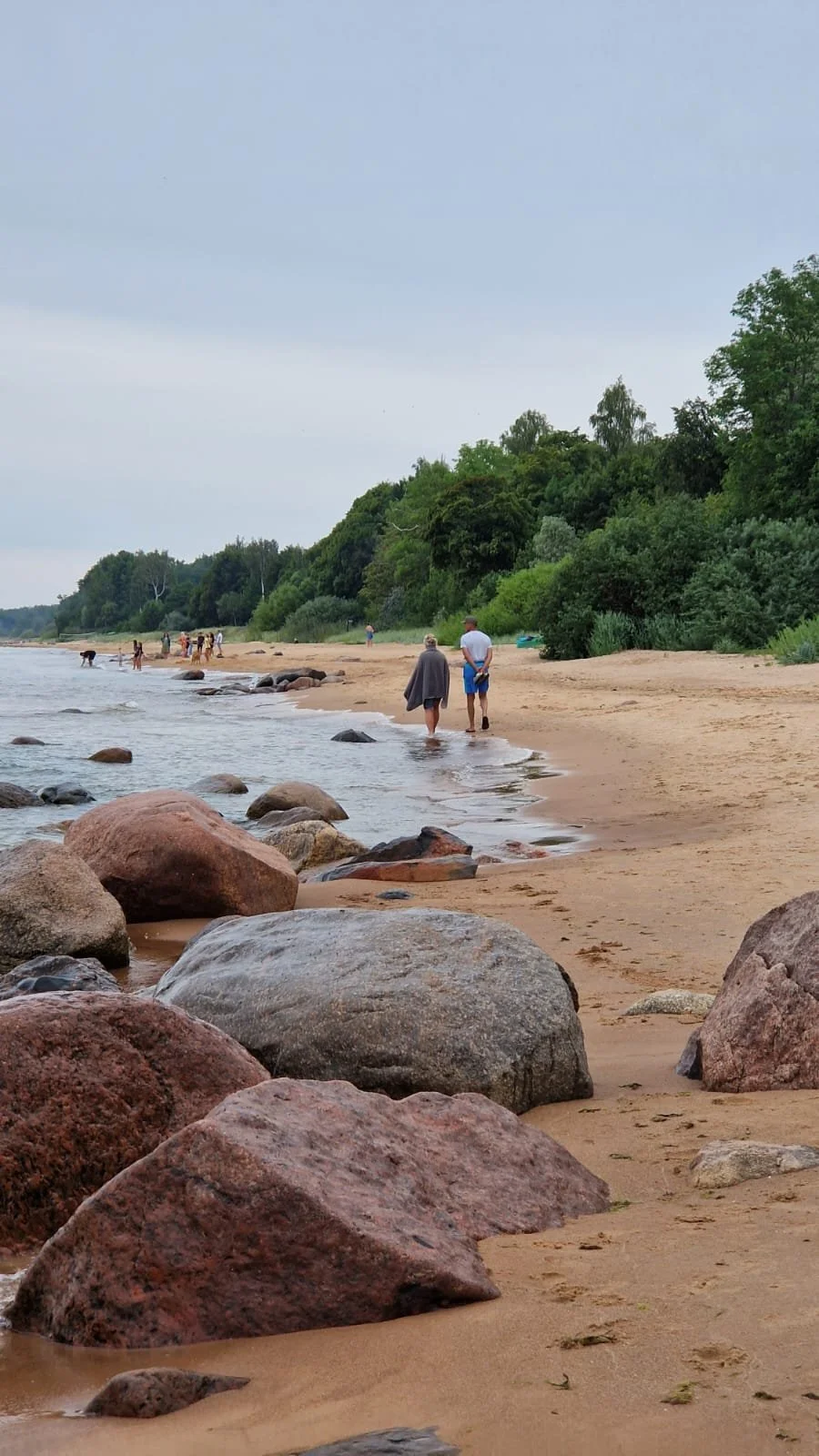 Ieva Article Pic 6.jpeg