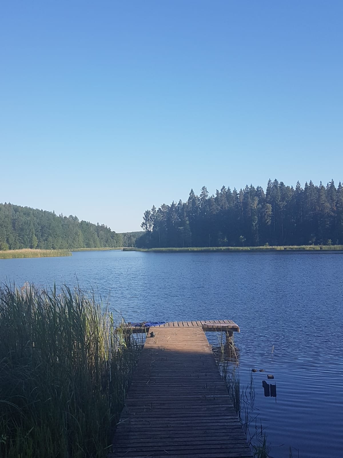 Ieva Article Pic 9.jpeg