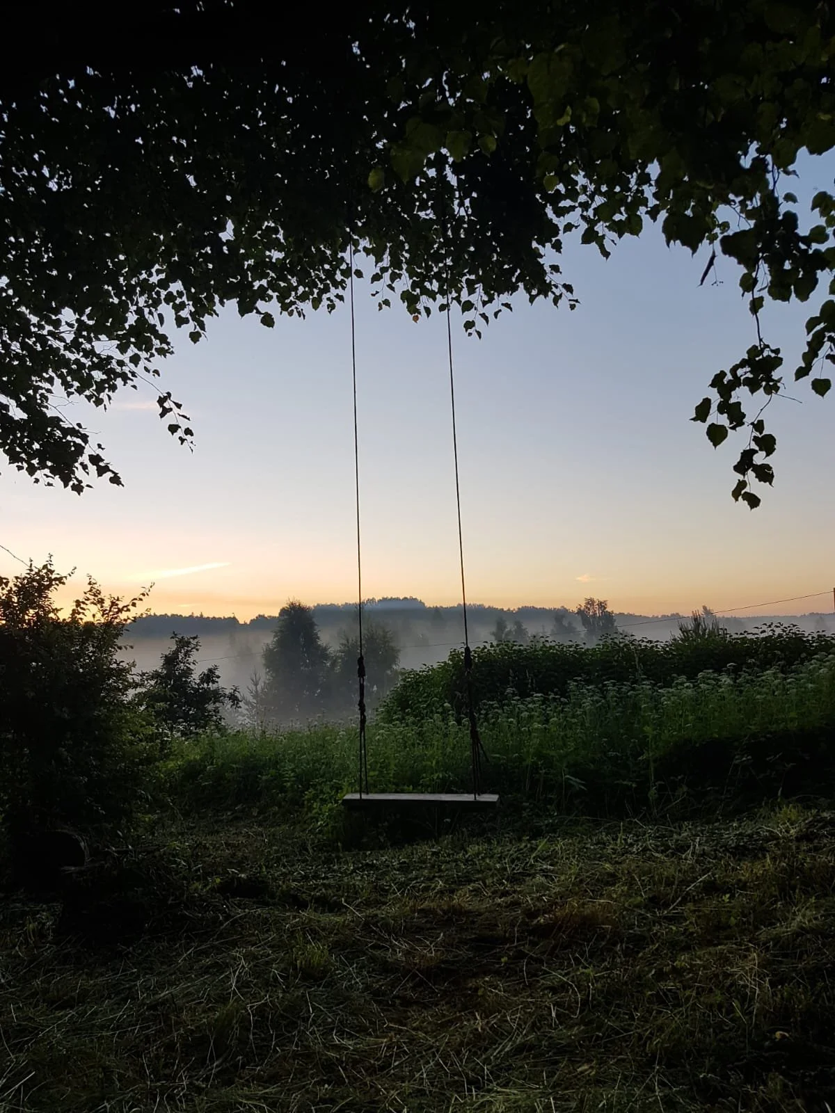 Ieva Article Pic 11.jpeg