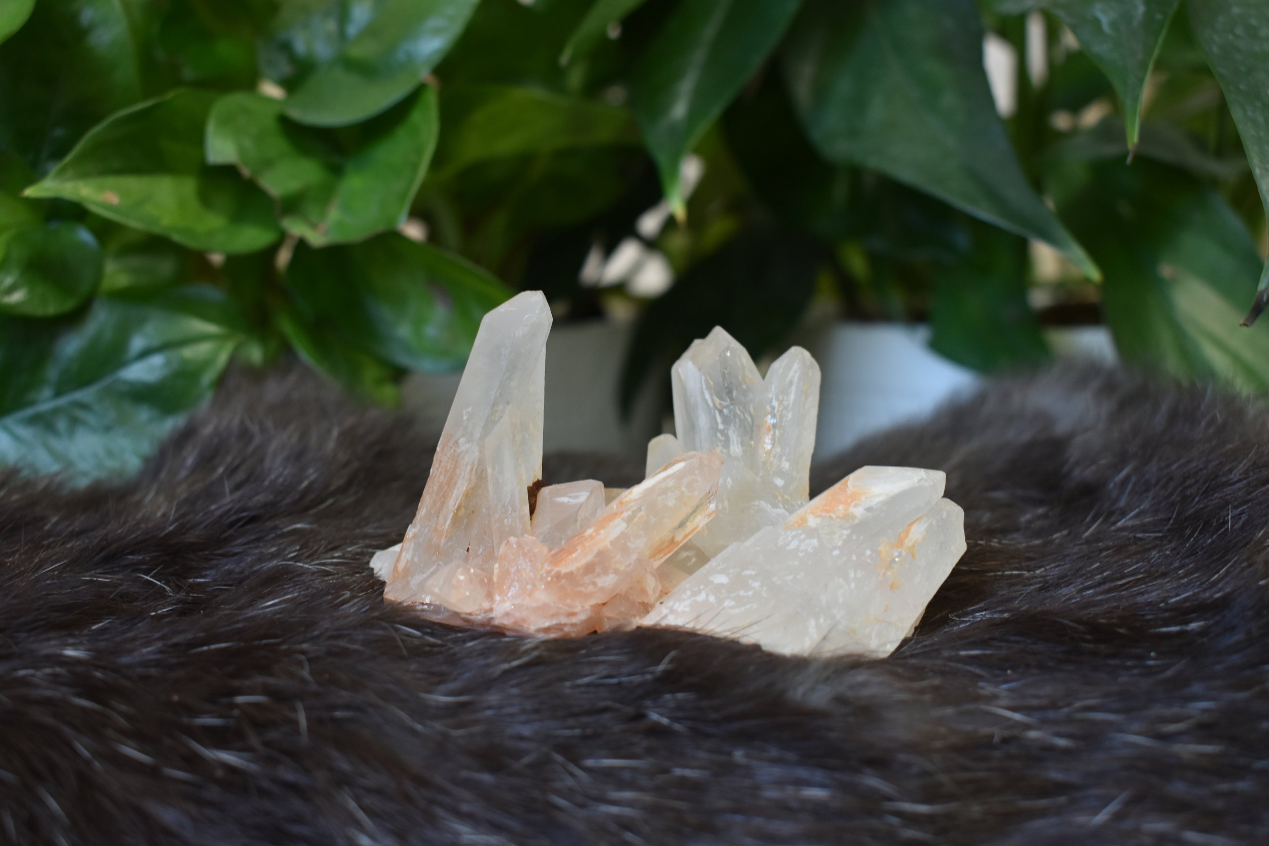 Small Quartz Cluster