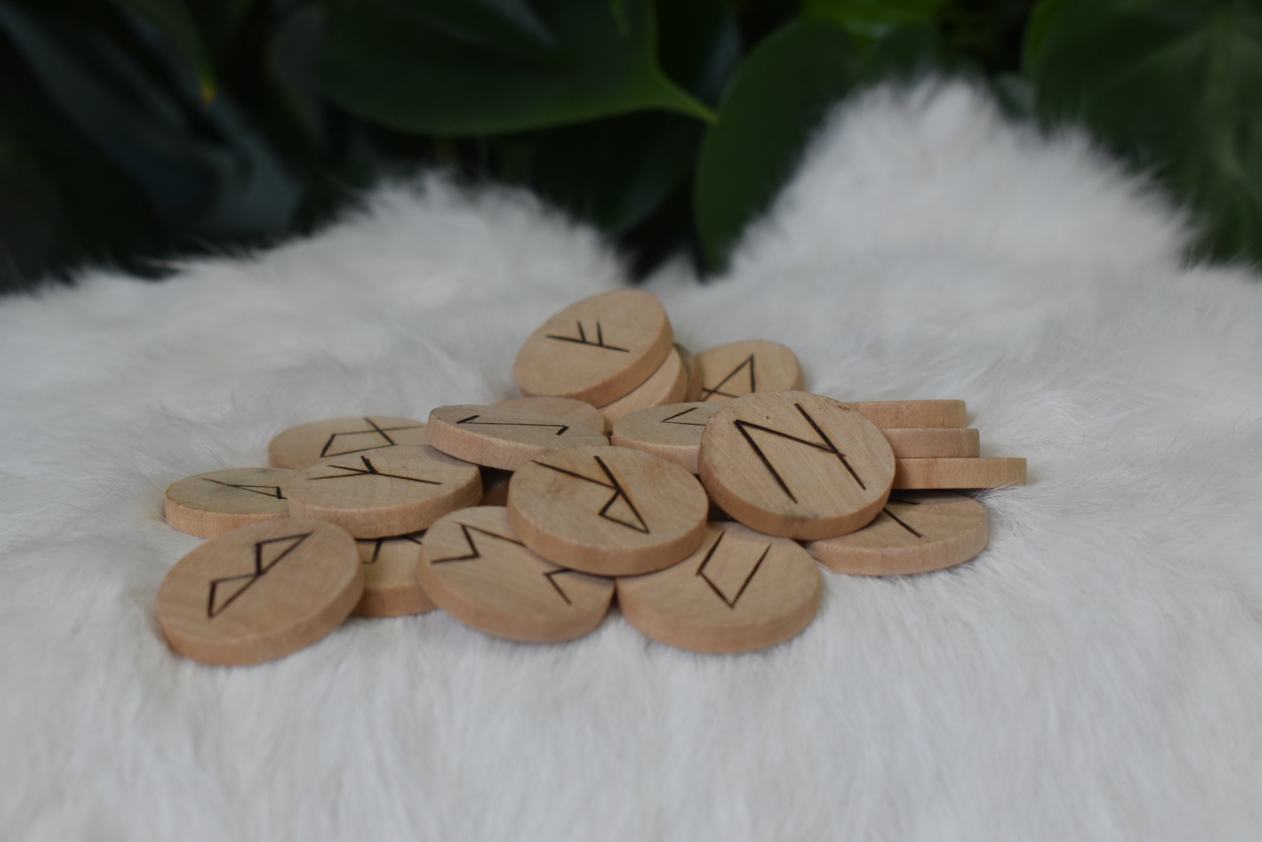 Wooden coin runes