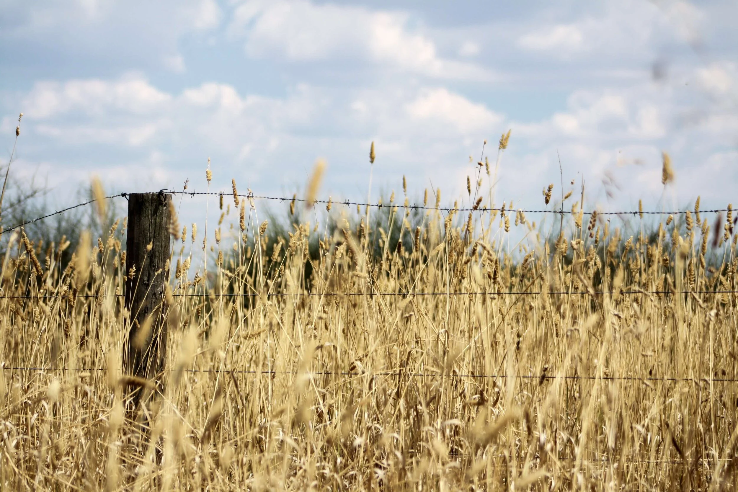 Gift Boxes Brisbane Gift Delivery Brisbane Gift Baskets Brisbane