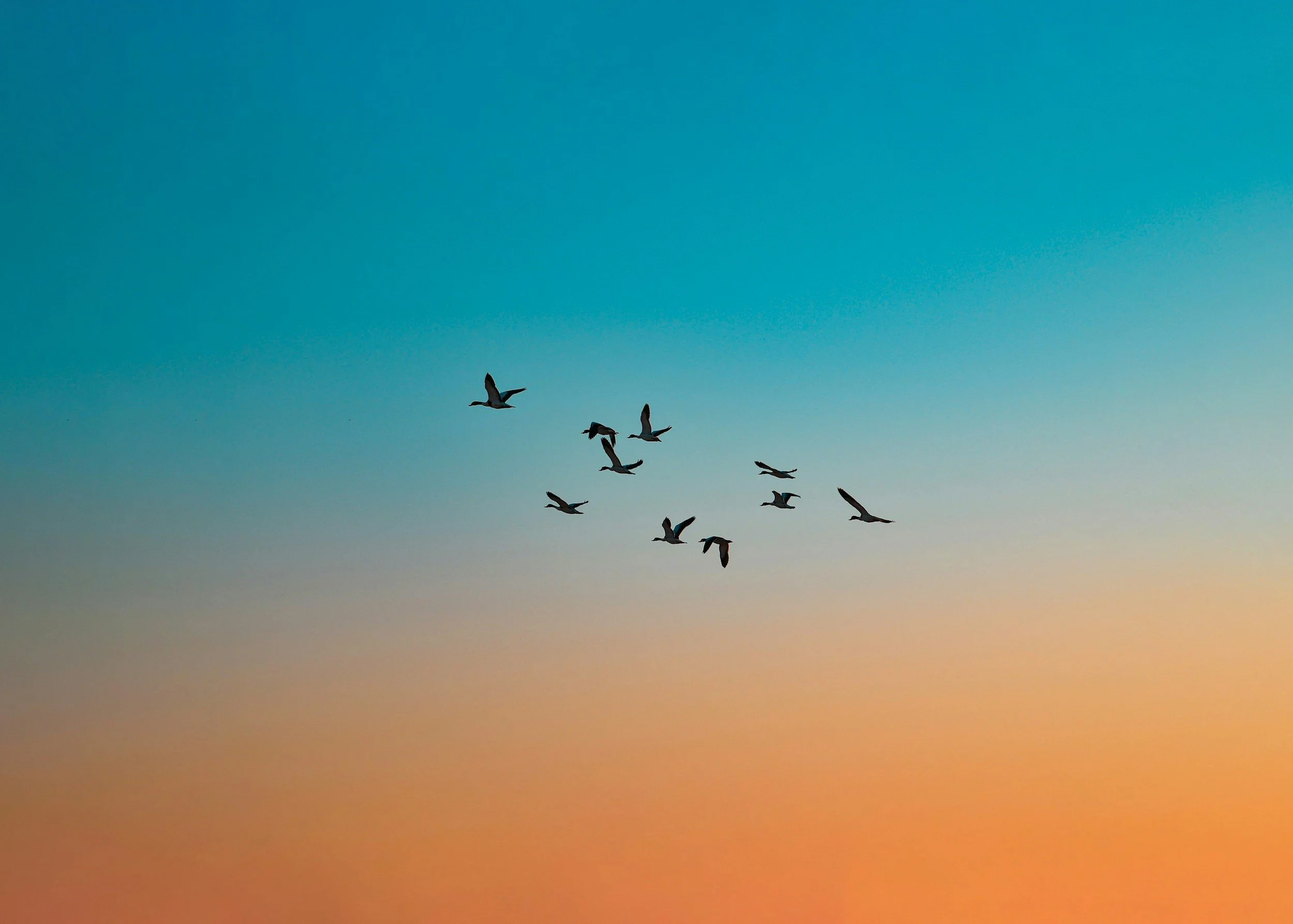 Noisy Friends and a Faithful God