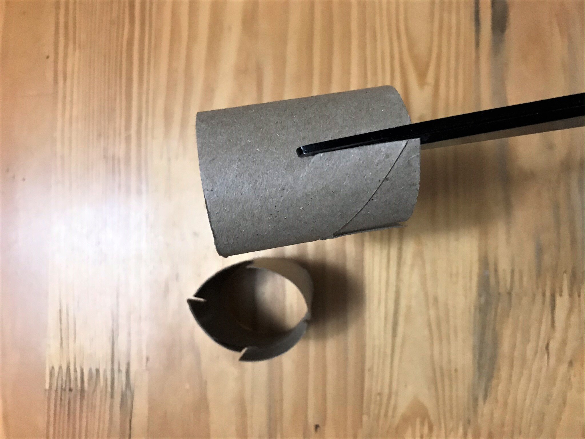 cut toilet paper roll from bottom.jpeg