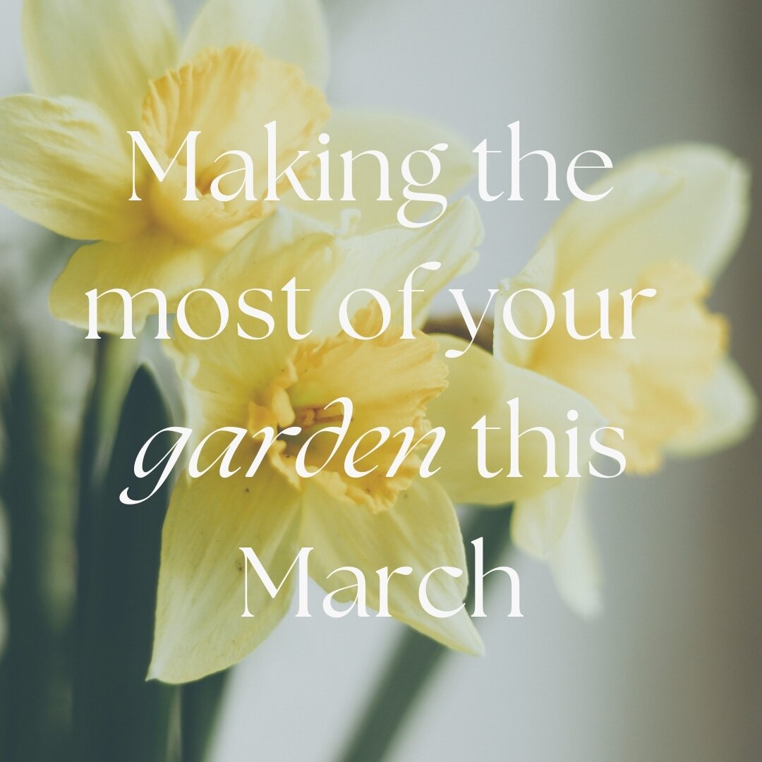 Our gardens and wild spaces really start to come alive in March and need regular tending to keep them looking at their very best..
For the full article, click the link in our bio.