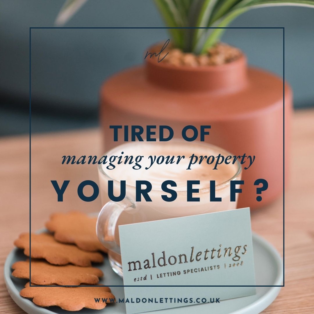 Whether you're looking for a managed serviced or add-on services to assist you in managing your property independently, speak to one of our Lettings Specialists to see how we can assist! 01621 850 145.