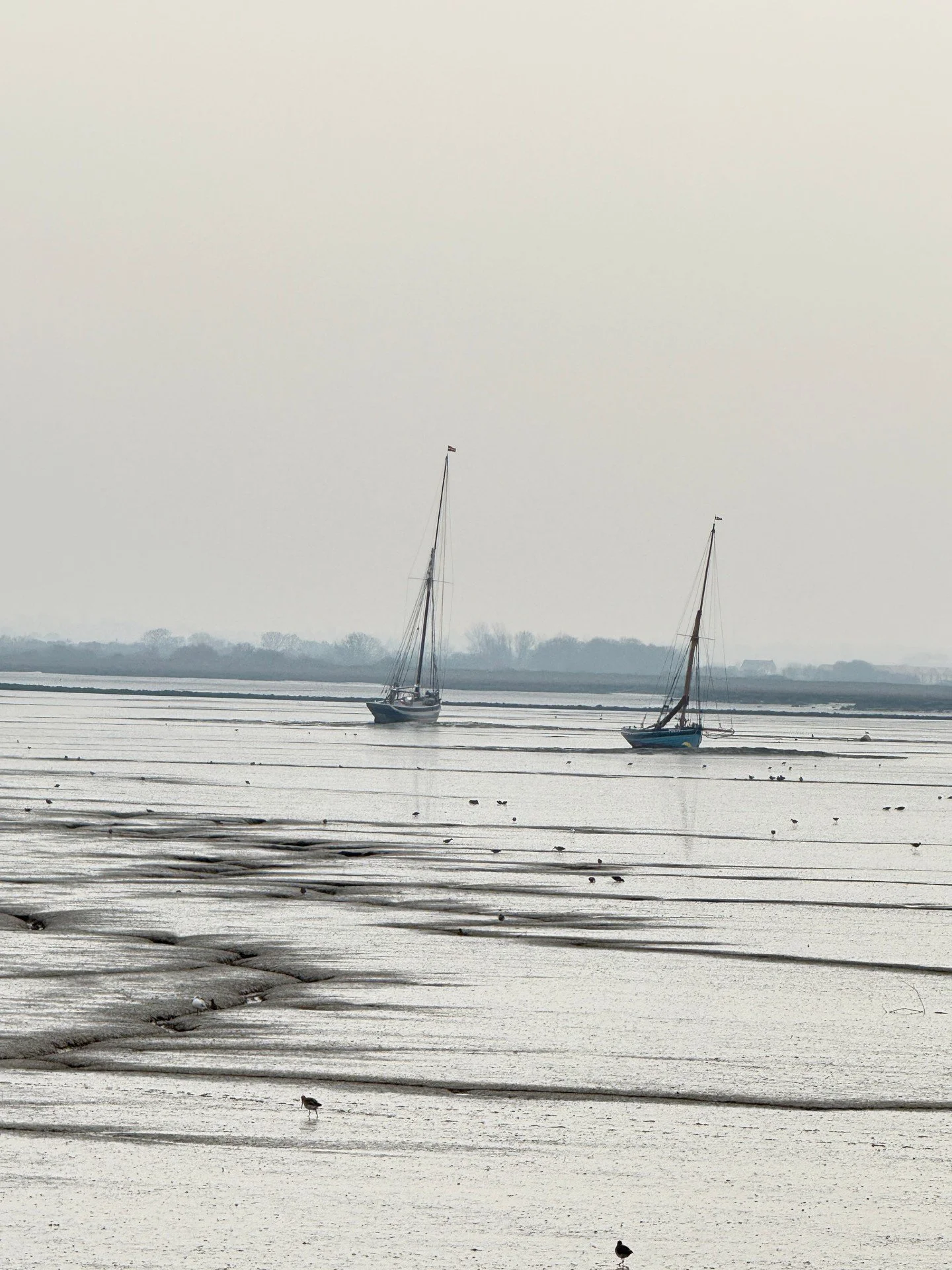 Misty mornings in Heybridge Basin.