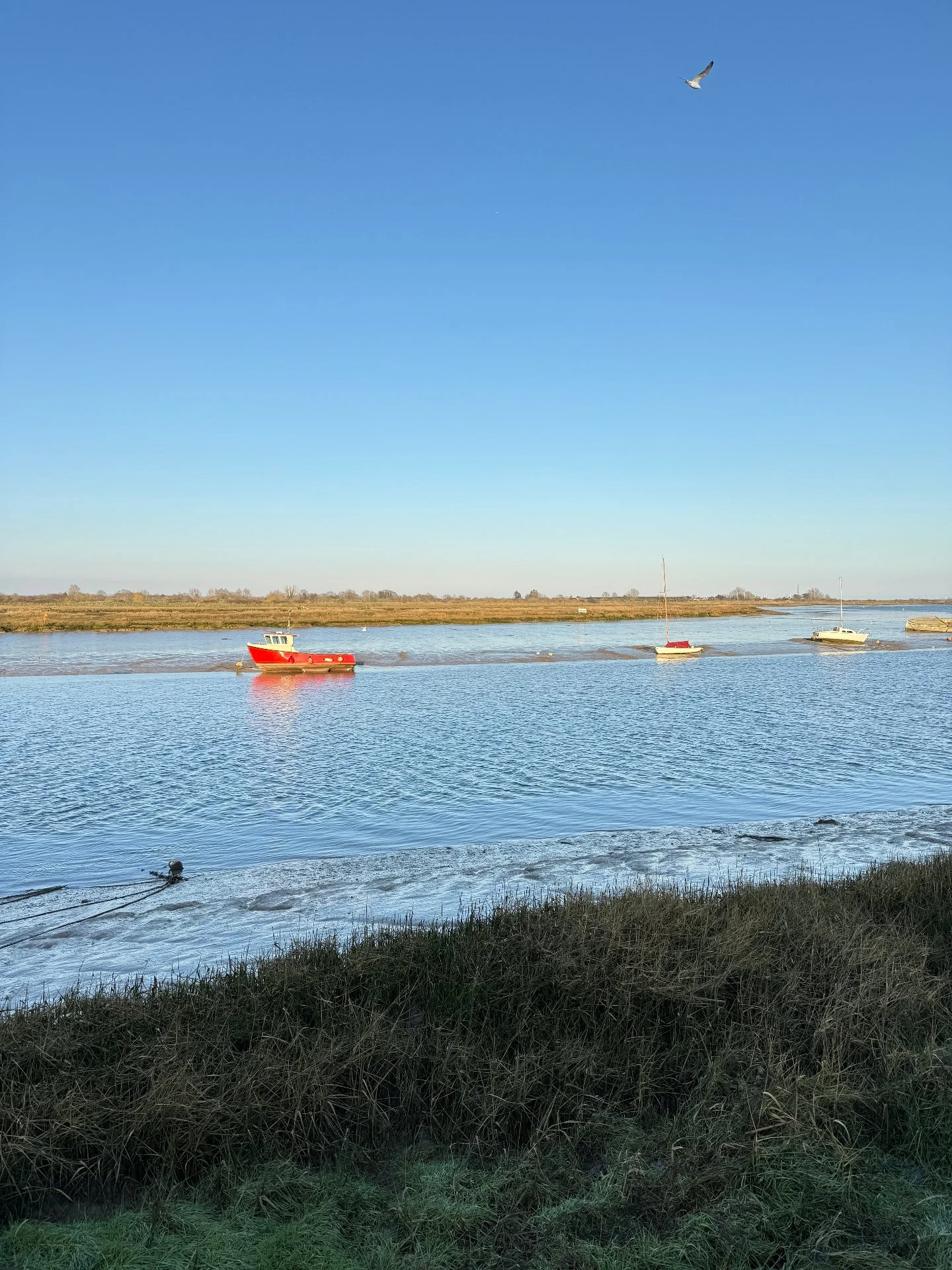 What plans do you have for the Bank Holiday weekend?