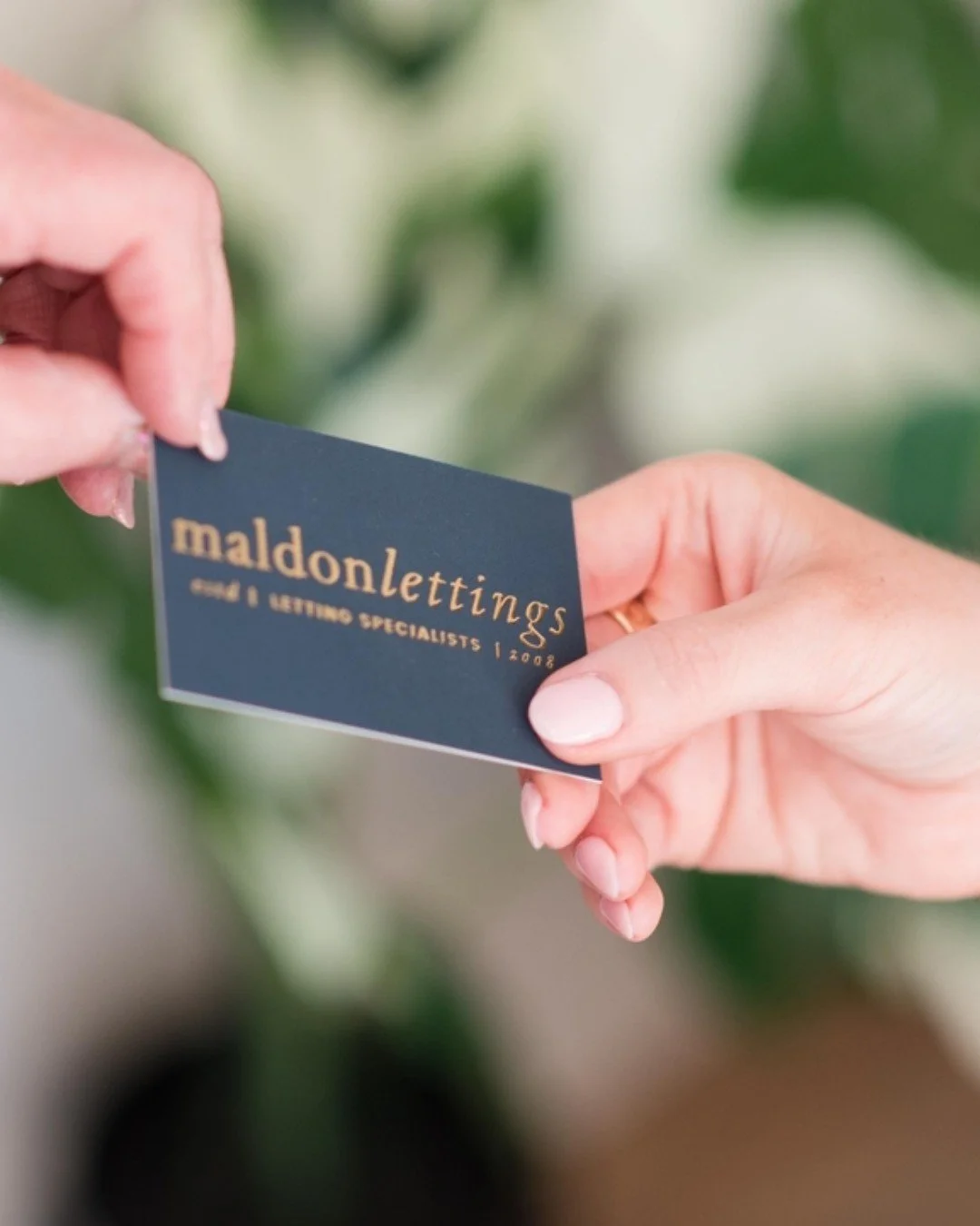 Have you got a property you're looking to let or are you dissatisfied with your current agent?

We would love to have an informal conversation to see how we can be of service to you. Feel free to contact one of our team on 01621 850145.