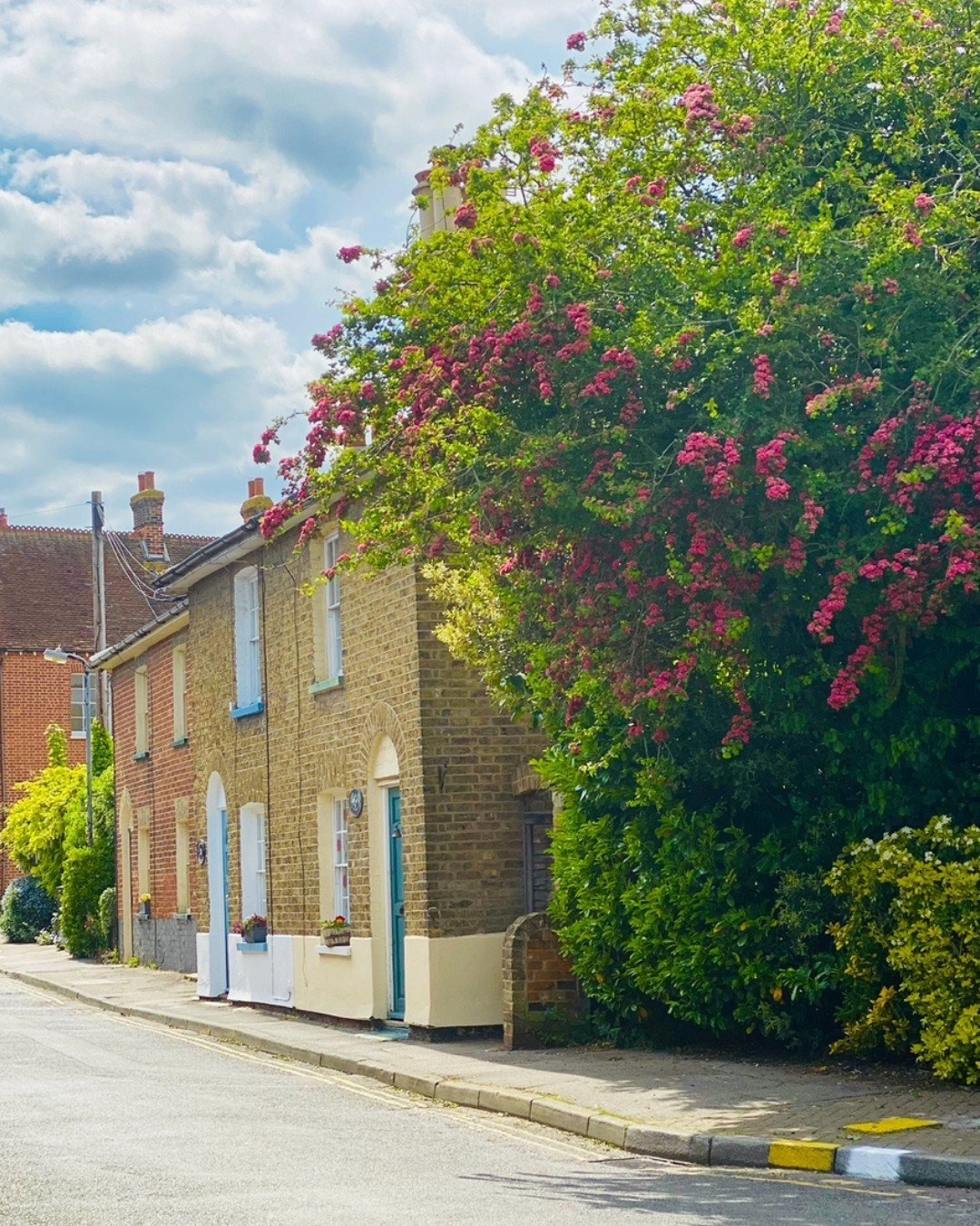 We're looking forward to seeing Gate Street in full bloom again.