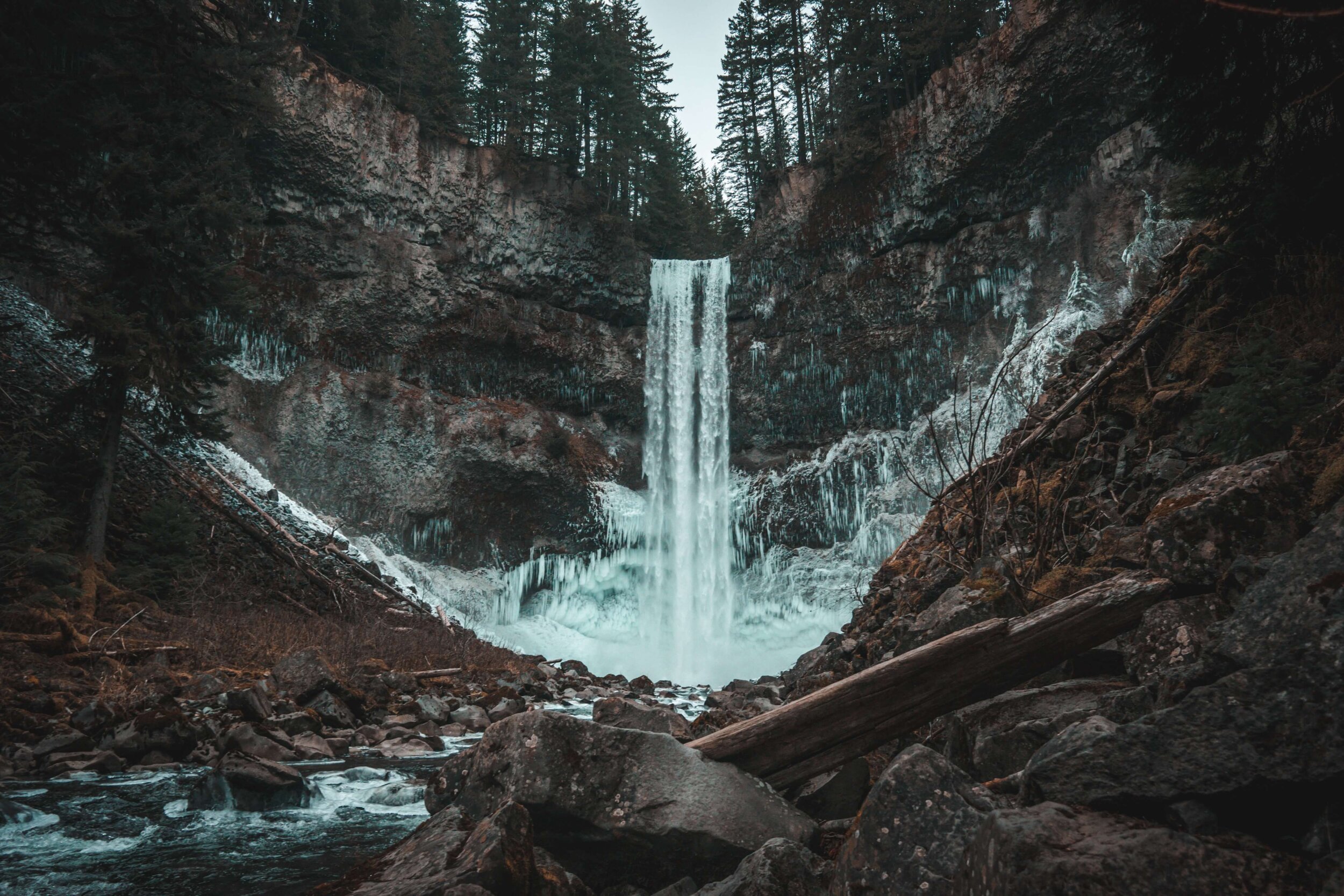 Meet the 13 Youth Climate Activists Challenging a Pipeline