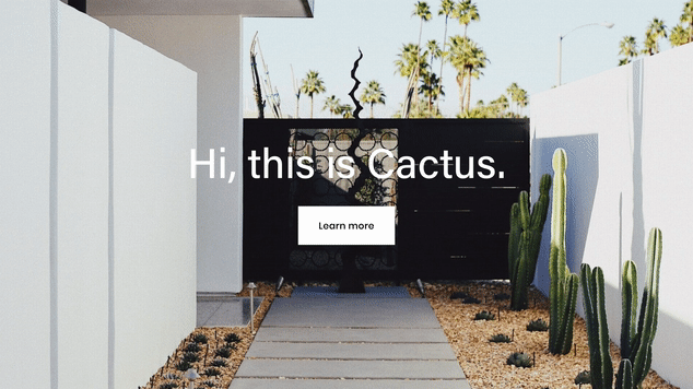 Zoom Me In Hover - Page Background Image