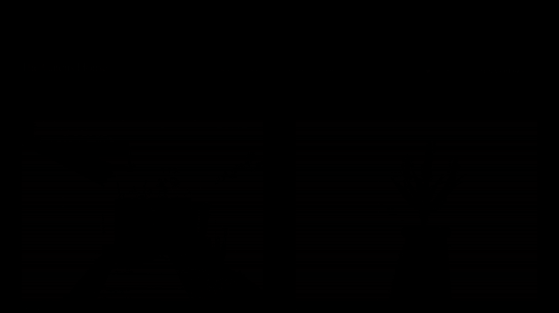 Simple Fade Up Intro