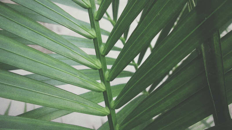 Enlarging Poster Block Rollover