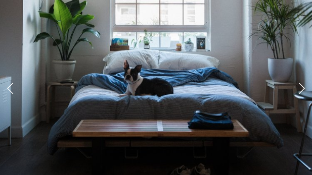 Remove Arrow Backgrounds (Slideshow Gallery)