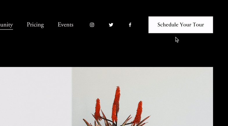 Second Color On Hover Button