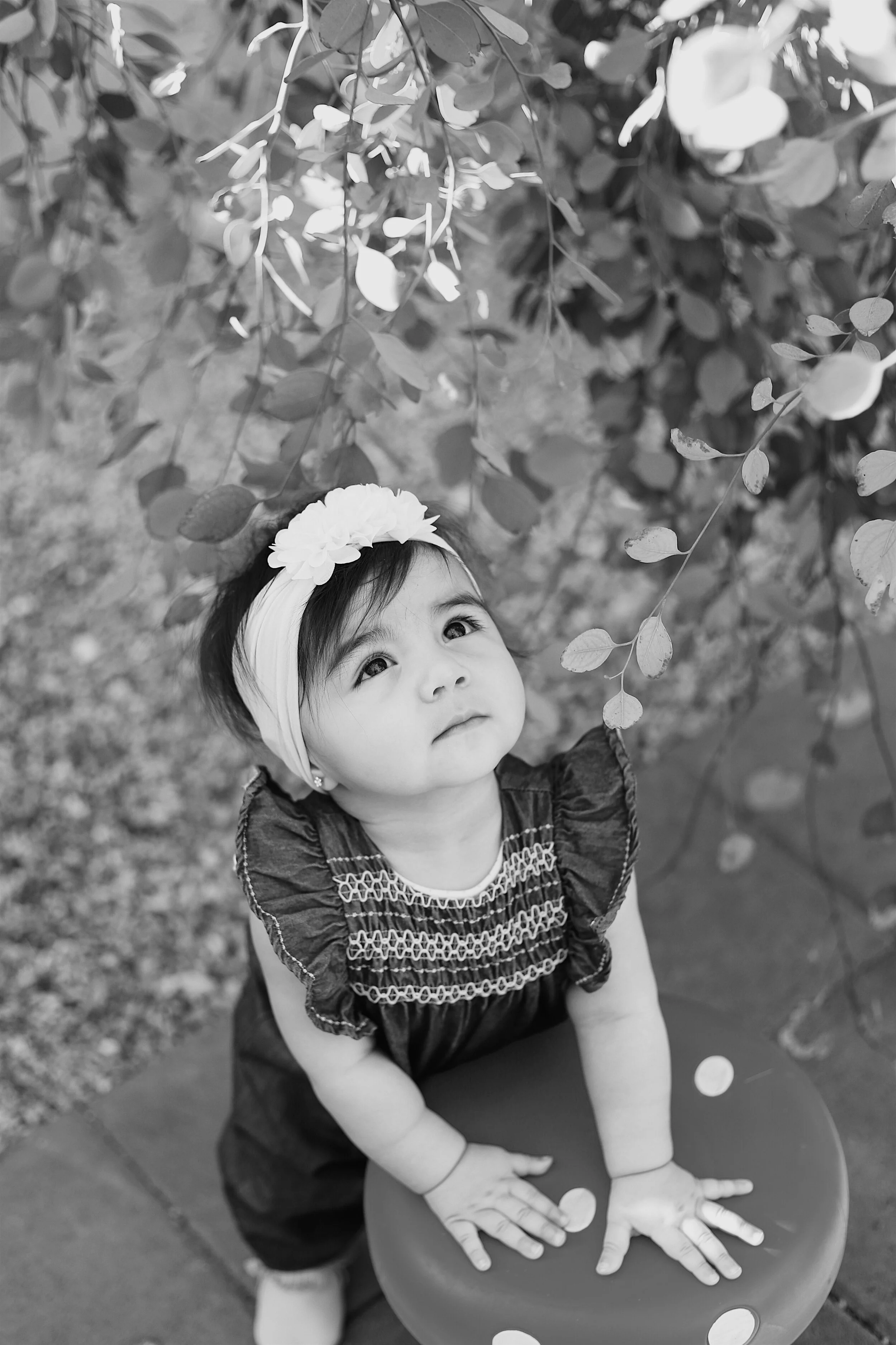 5E30FF1B-3376-4B50-A8E1-E1517310B210 2.JPG