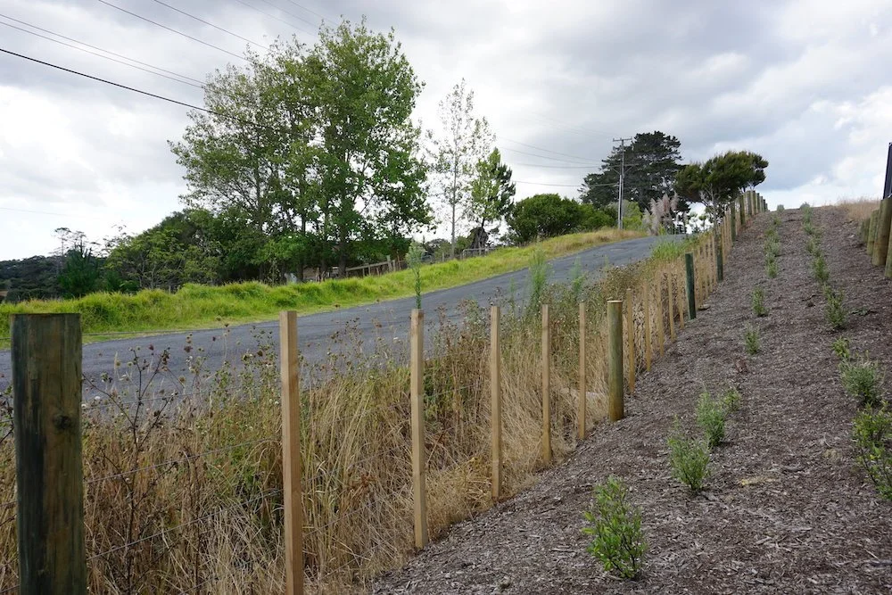 Kewa Road Farm Fencing.jpeg