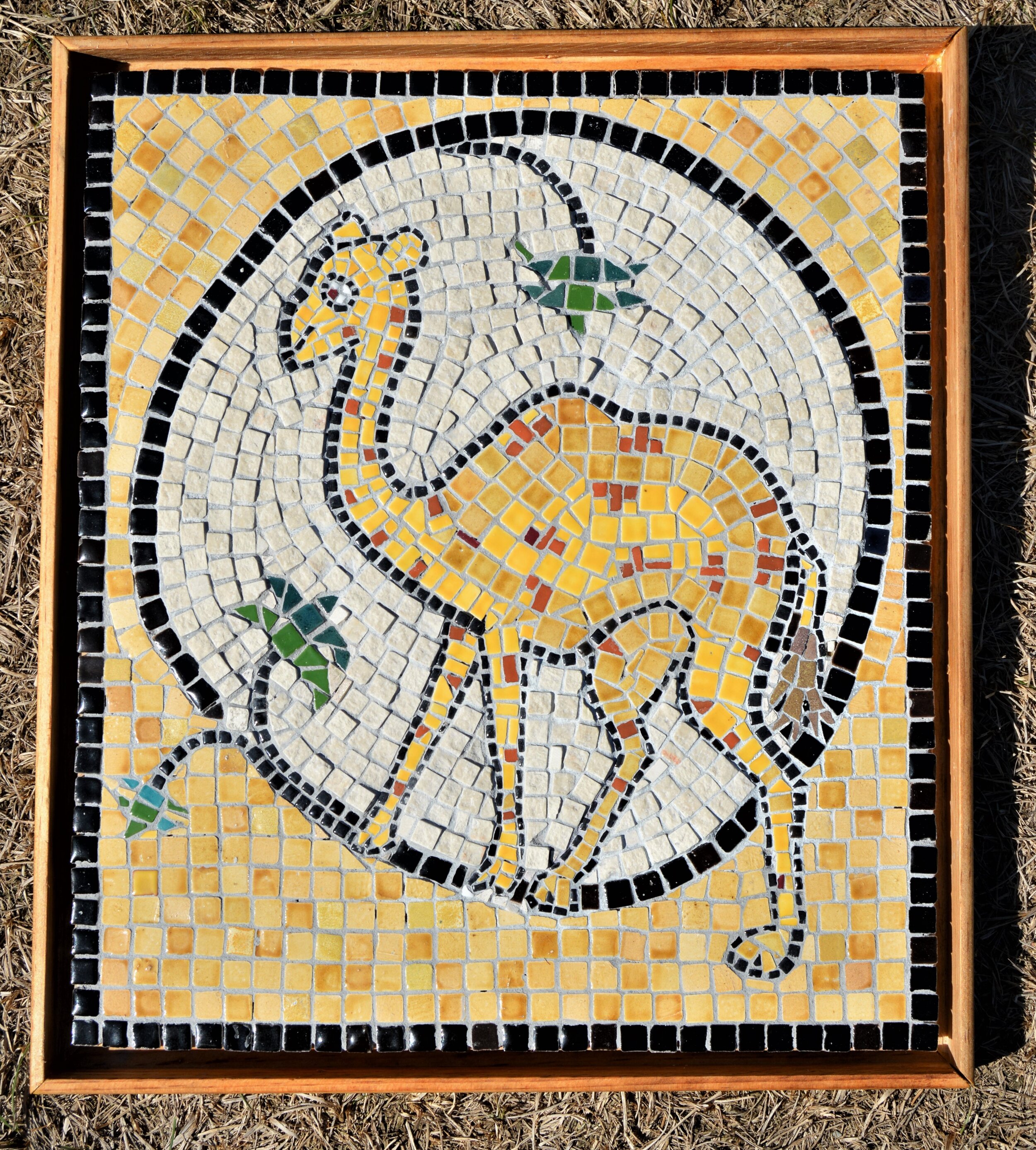 Petra Camel | Ceramic and Marble Tiles |  16 x 12 | 1100.