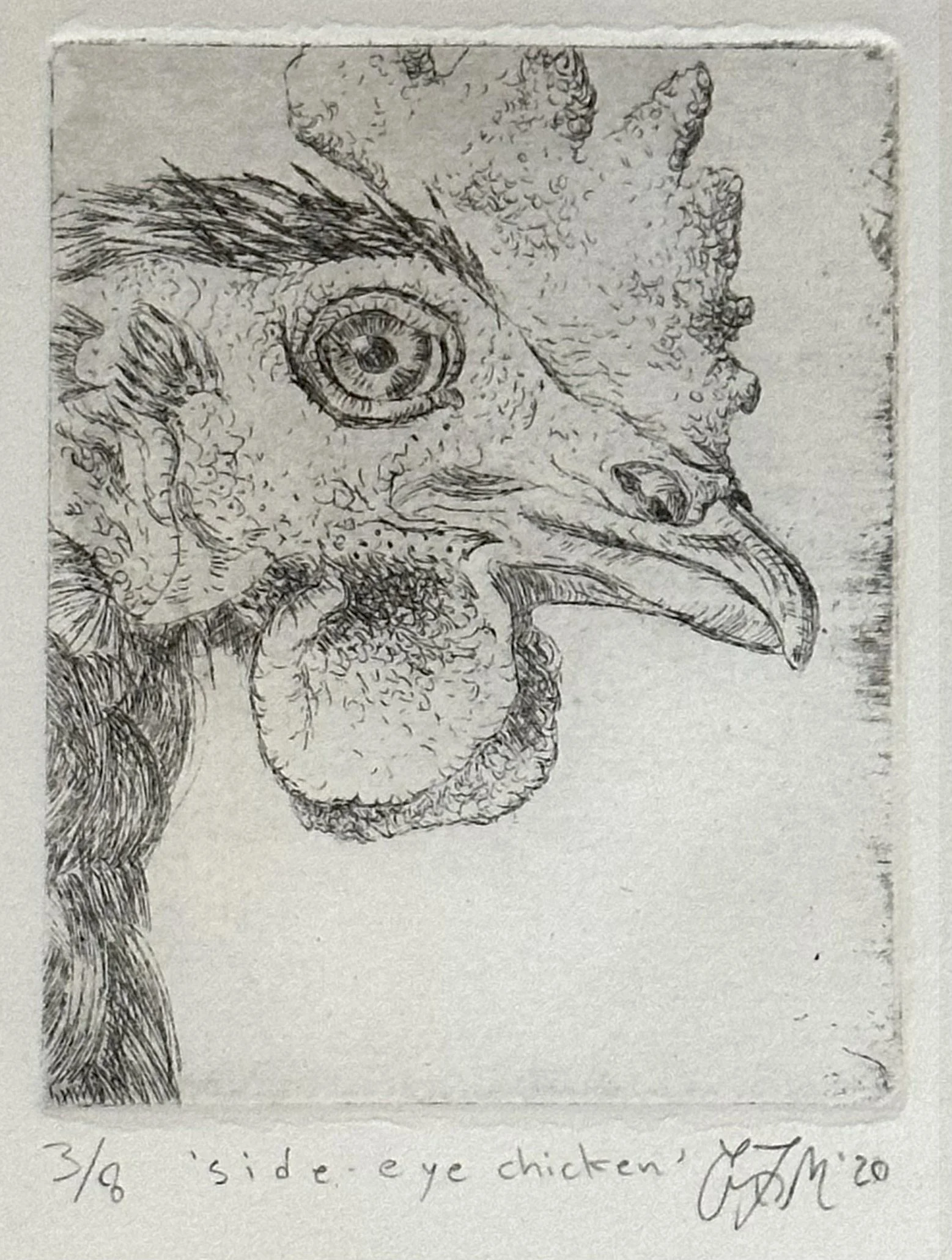 Side Eye Chicken | Etching | 11 x 9 | 150.