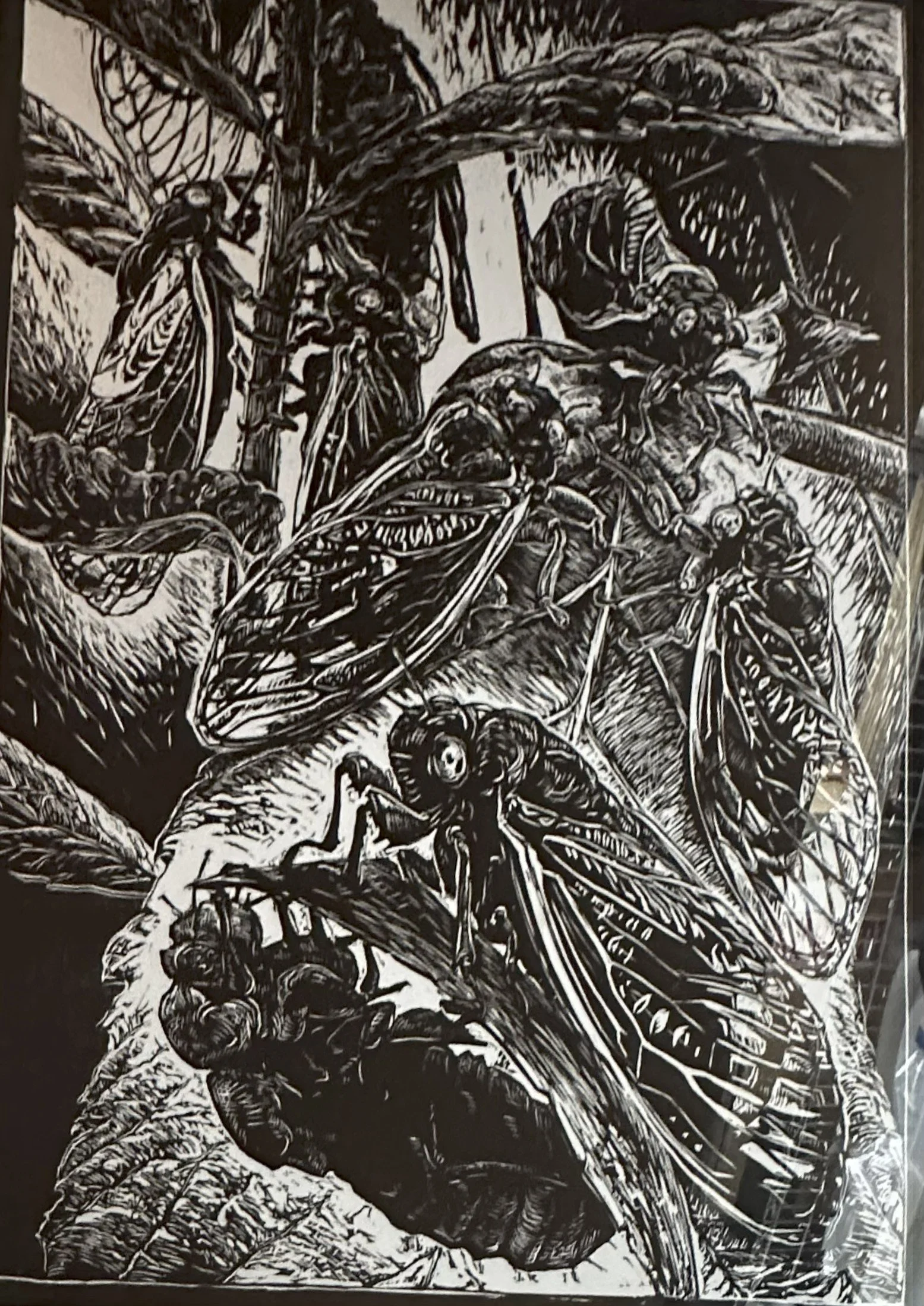 Emerging | Woodblock Print | 30 x 24 | 450.