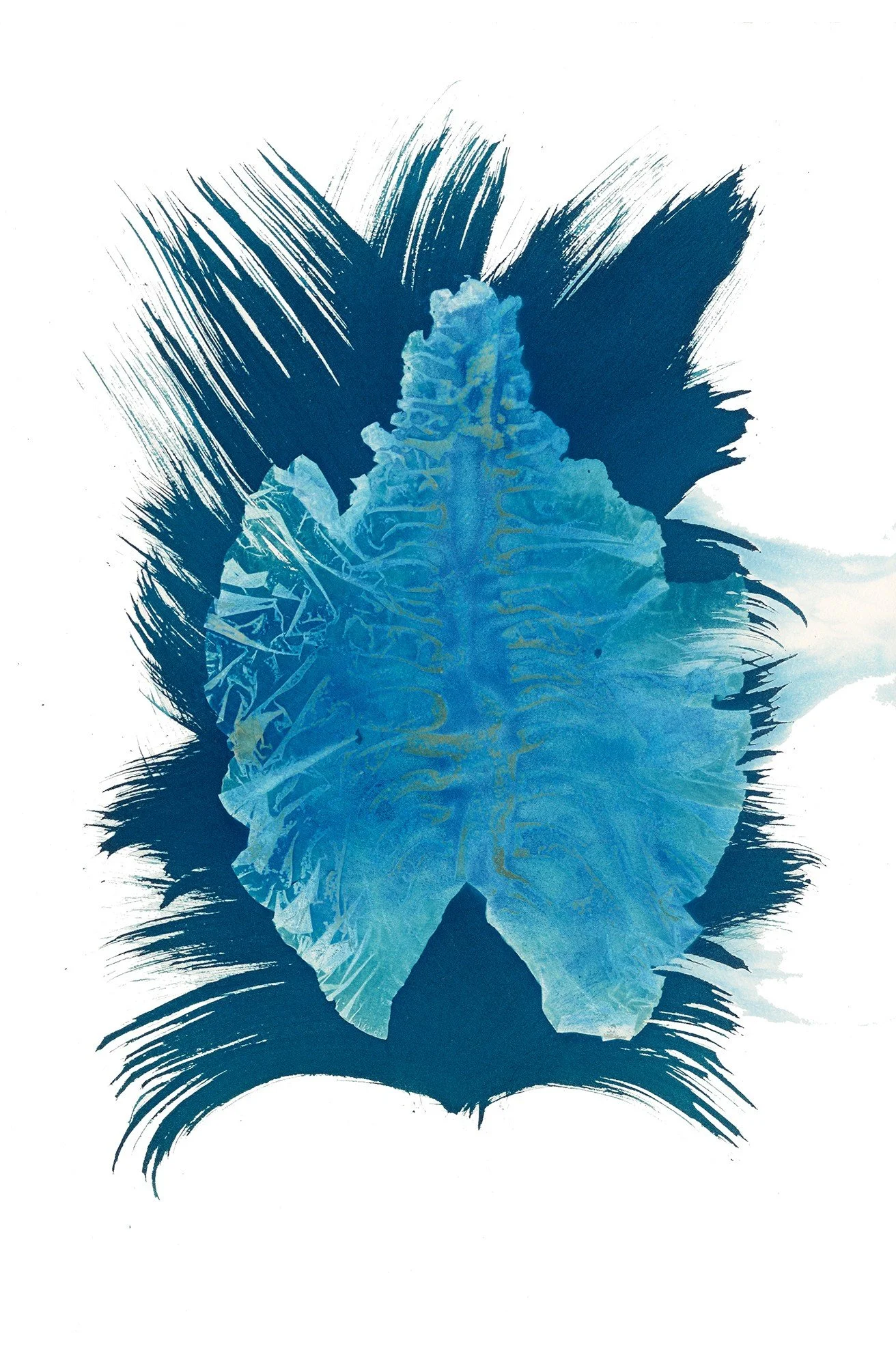 Lungs of the Sea #2 1/10 | Digital Print from Original Cyanotype | 24 x 26 | 750.