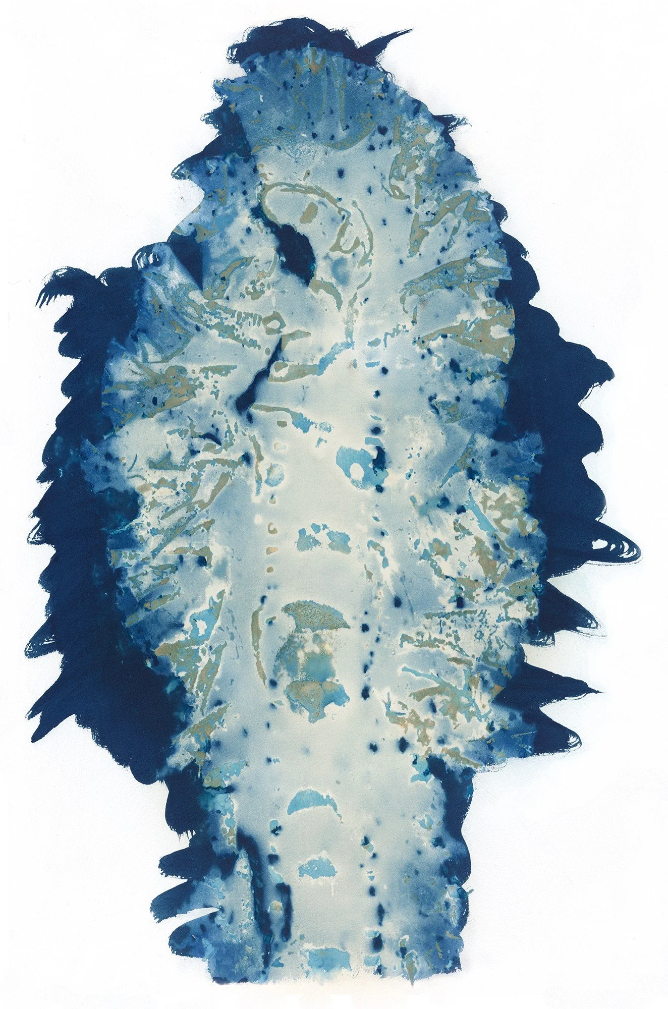 Lungs of the Sea #3 1/10 | Digital Print from Original Cyanotype | 24 x 26 | 750.