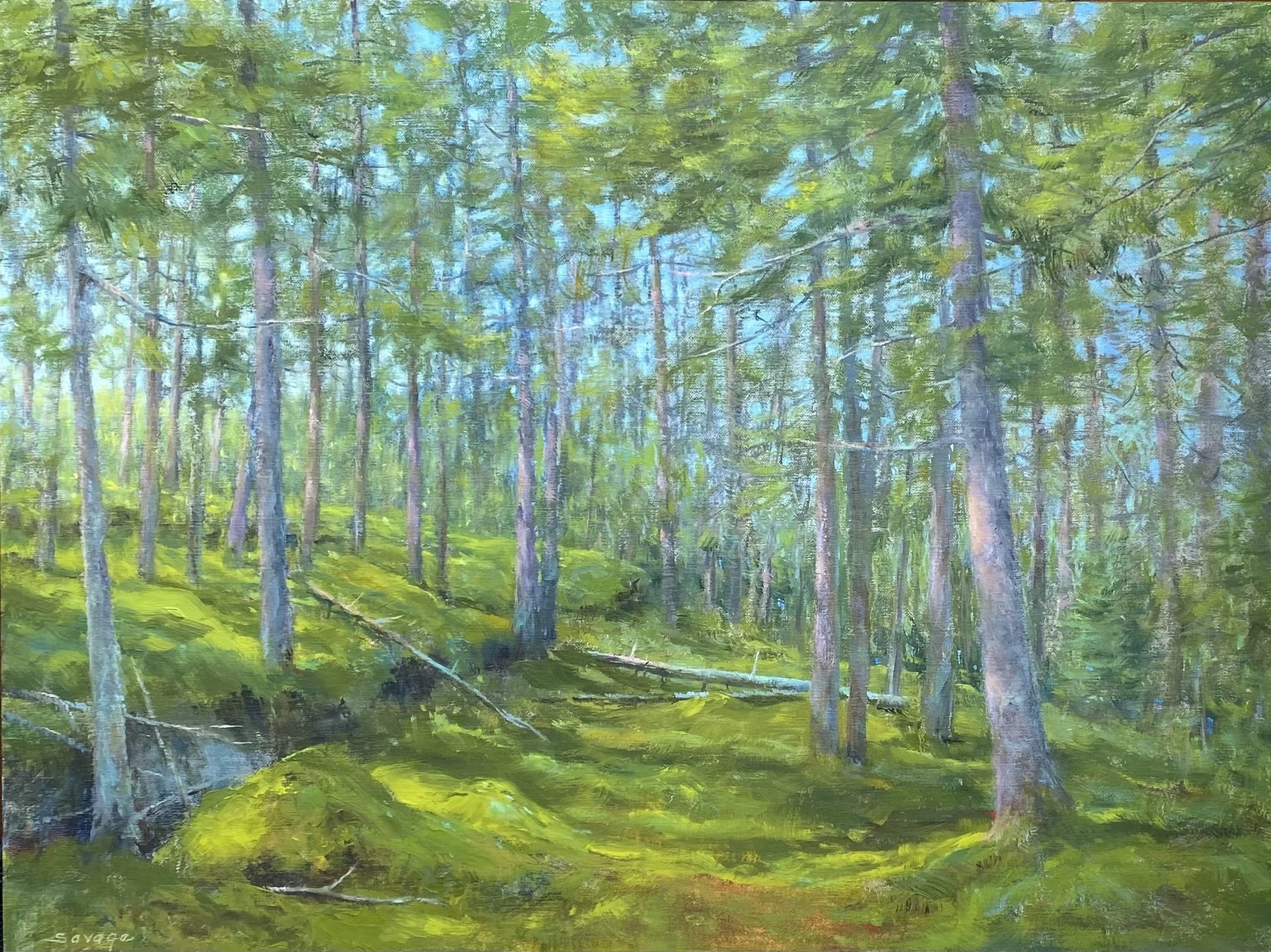 Forest Luxe | Oil on Linen Panel | 18 x 24 | 2380.