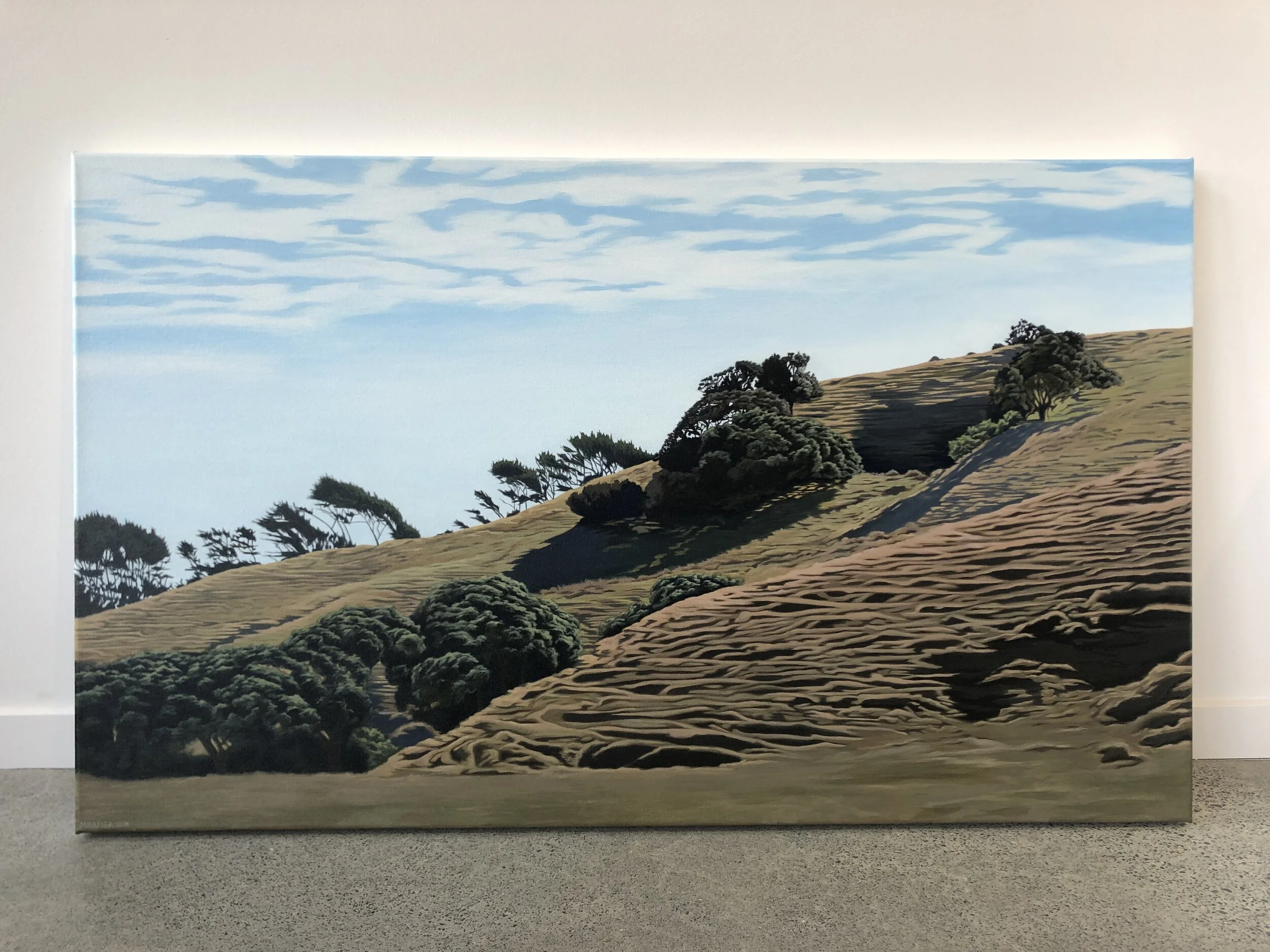 MN - Lay Of The Land.jpg