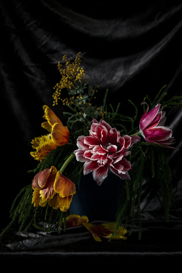 HB - Parrot Tulips.jpg