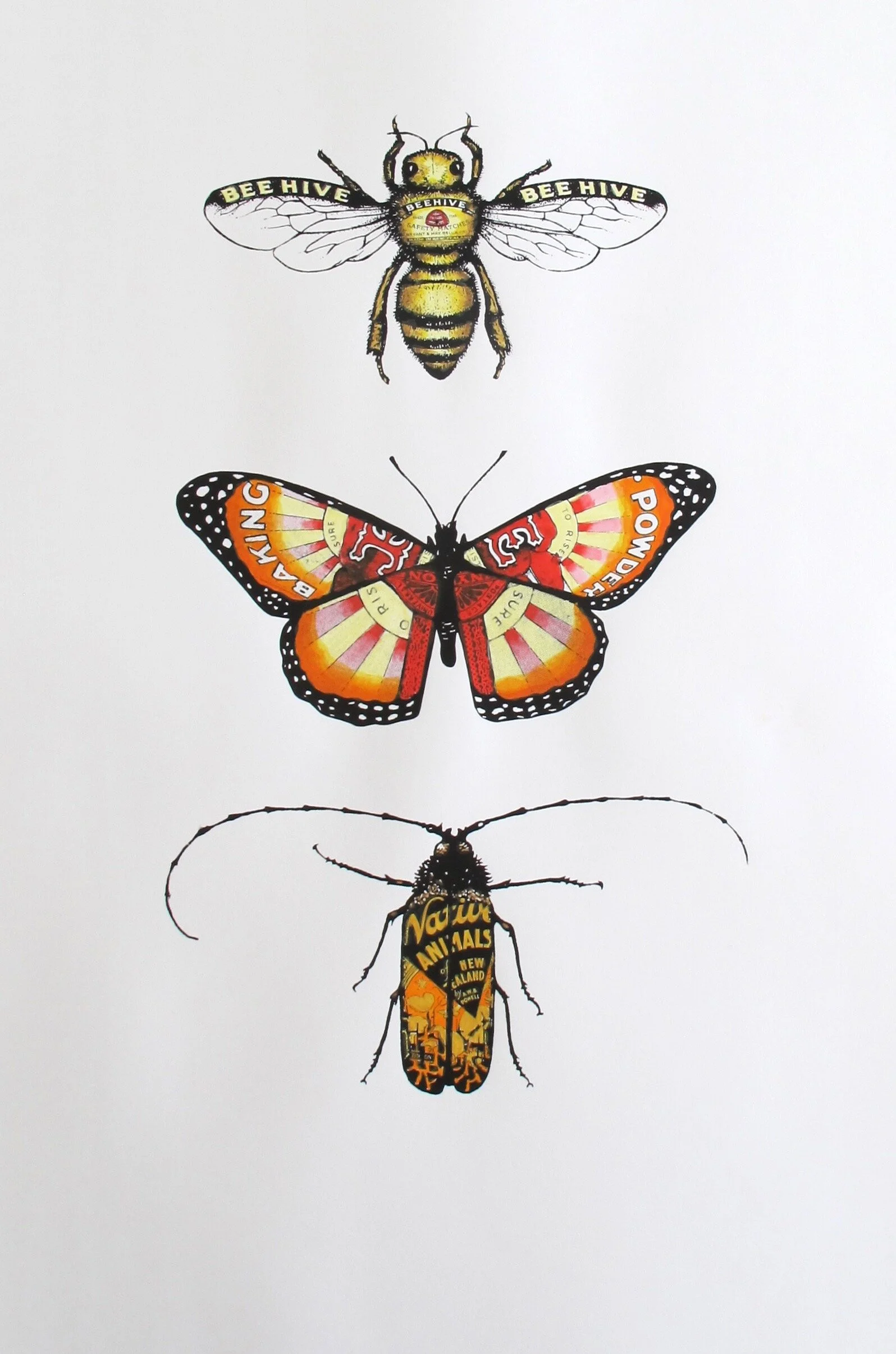 PB - Bee, Butterfly and Beetle.jpg