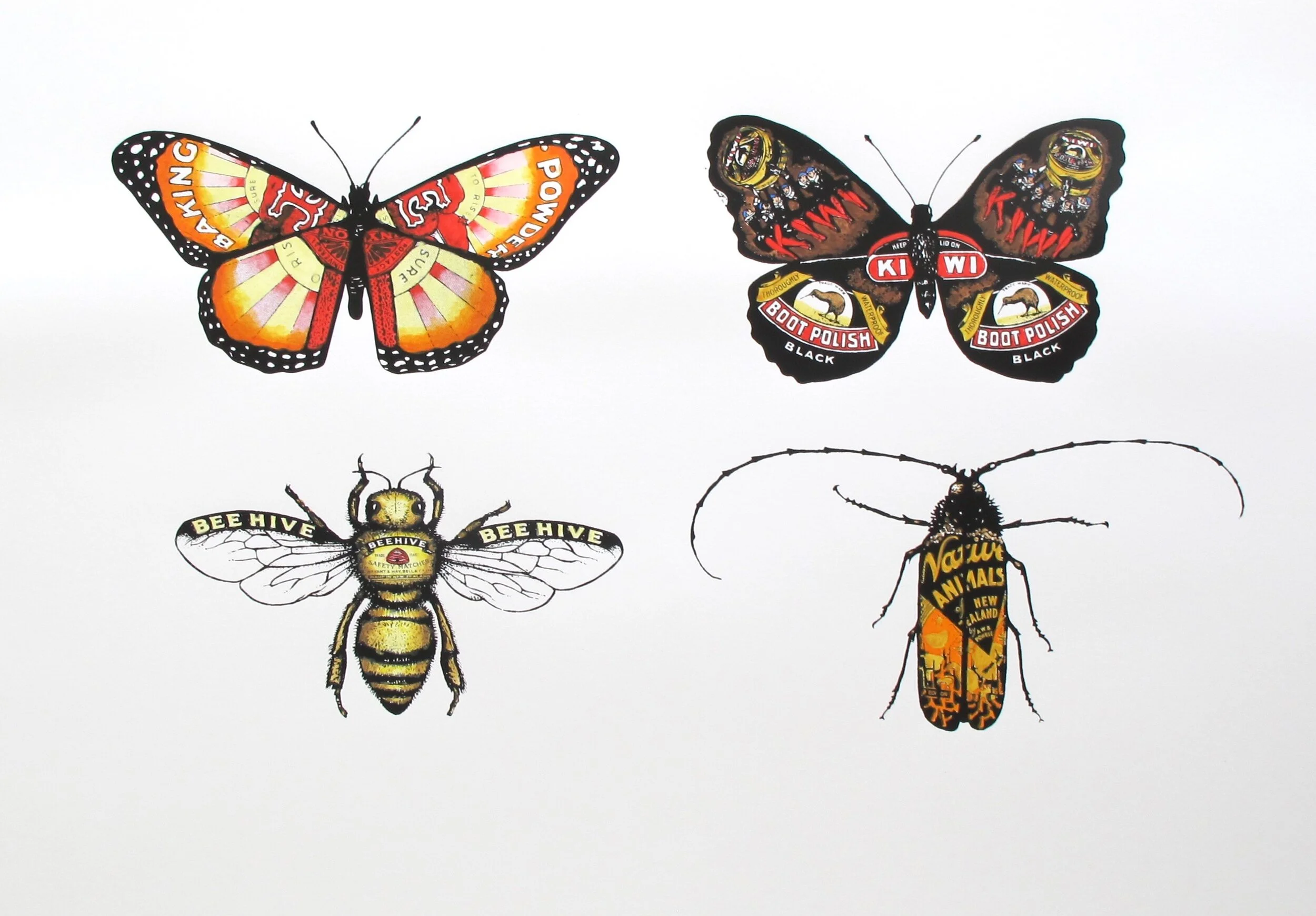 PB - Insects and Memories Collection.jpg