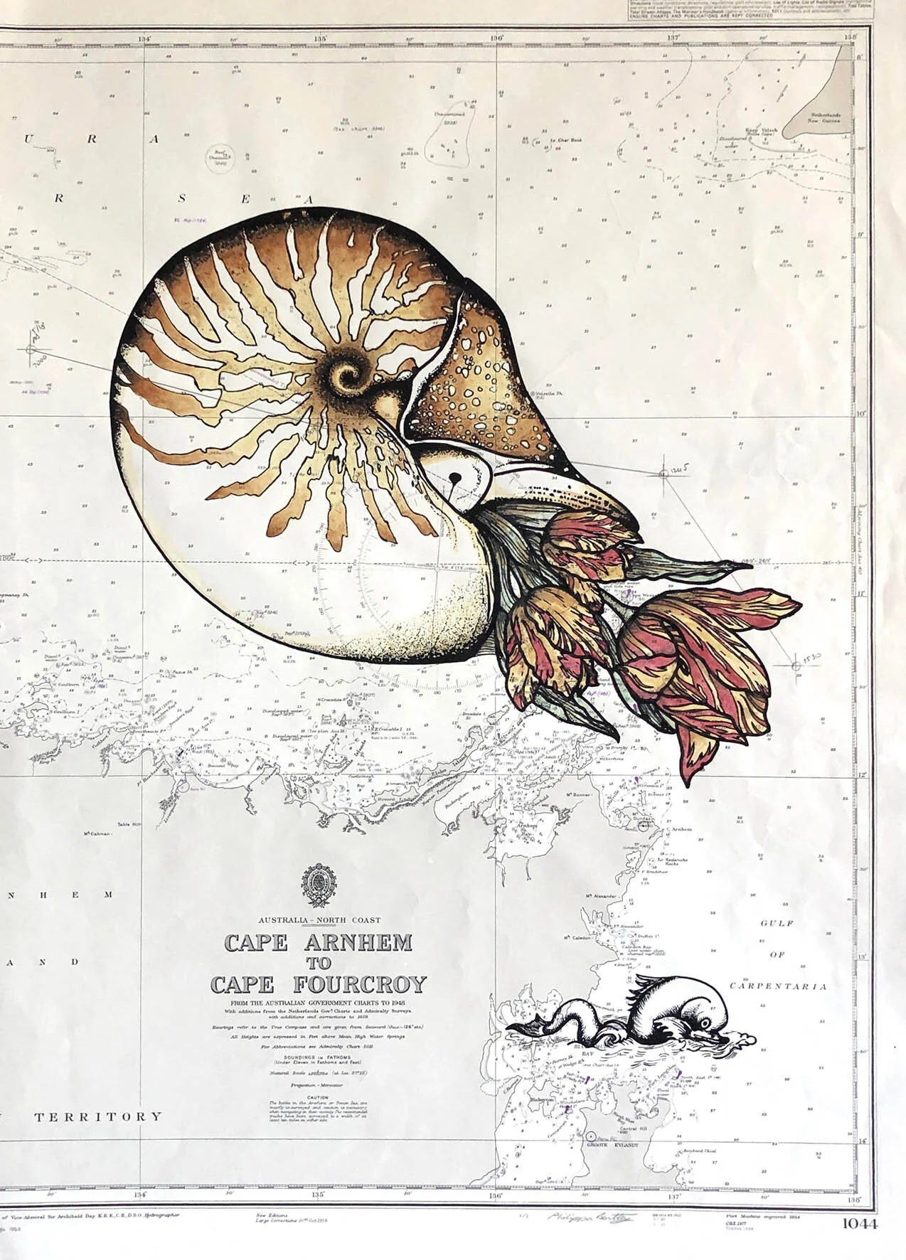 Hic sunt dracones- nautilus.jpg