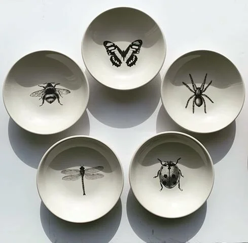 PDD - Insect Collection on Crown Lynn.jpg