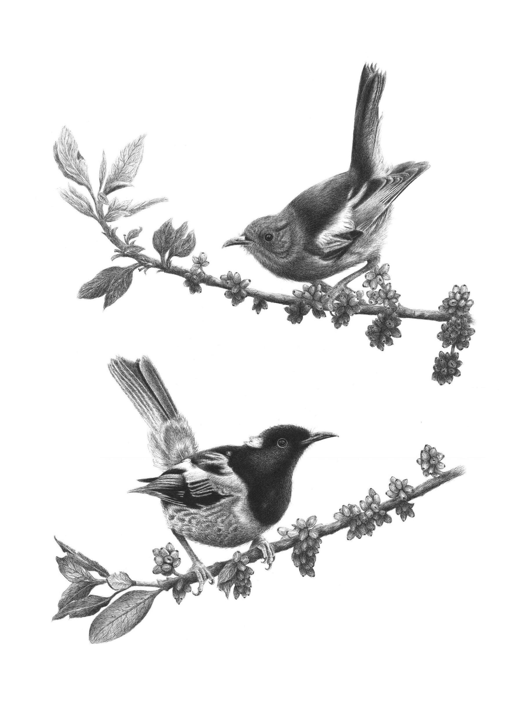 Rays of sunlight.jpg