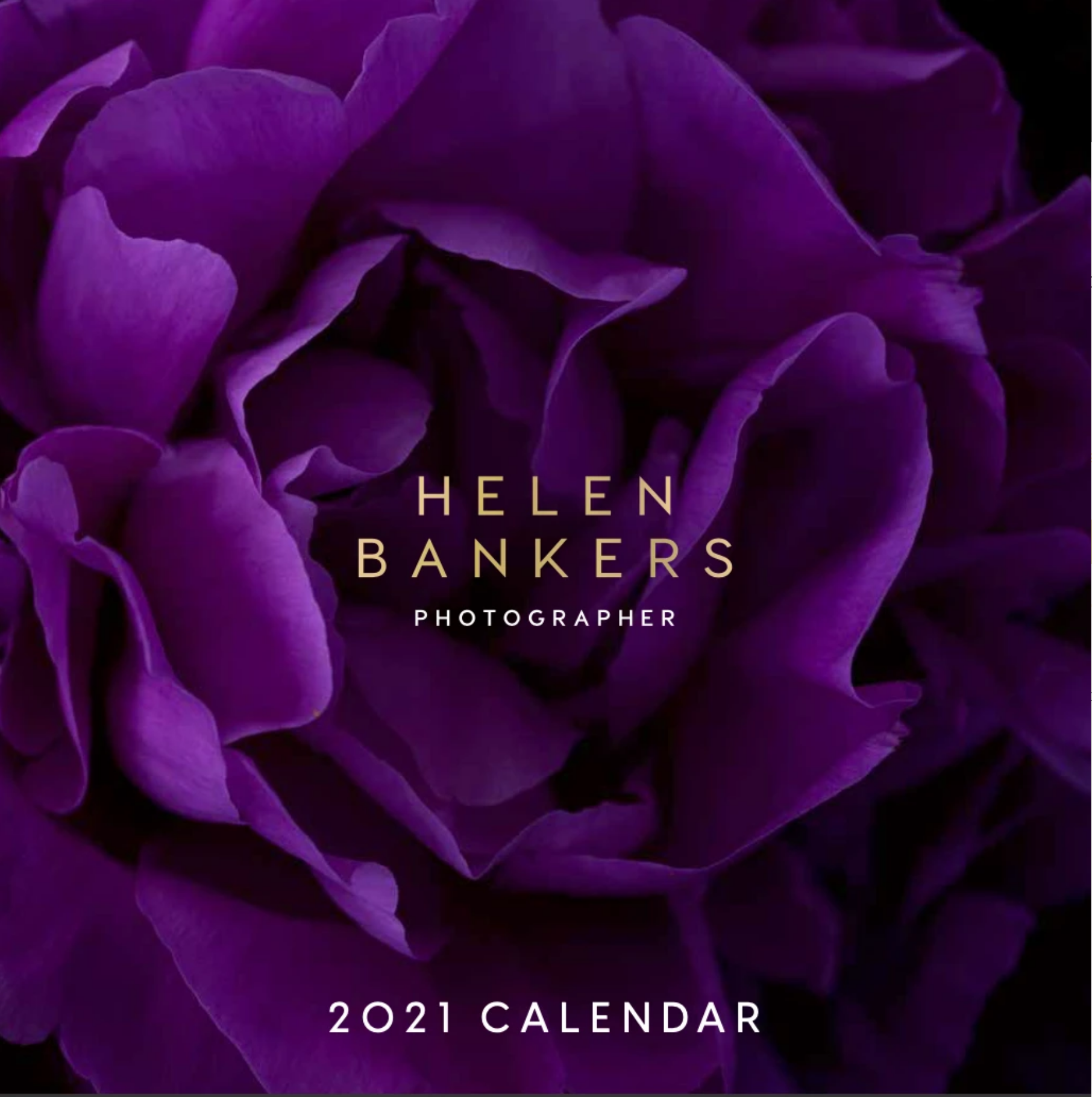 Screen Shot 2020-12-18 at 10.34.37 AM.png