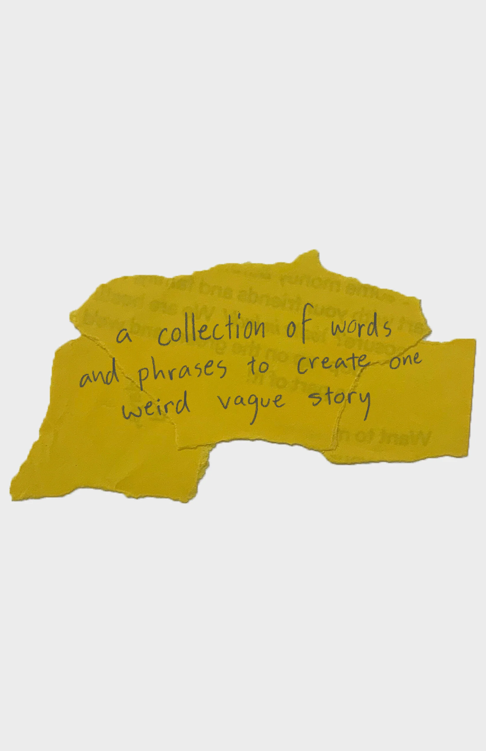 back cover svsdv.jpg