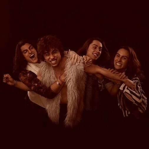 Greta Van Fleet fan (@gretafanfleet).jpeg