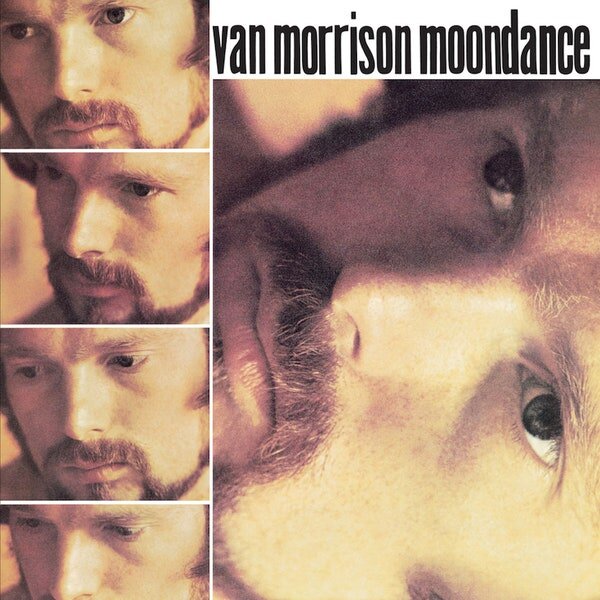 Van Morrison.jpg