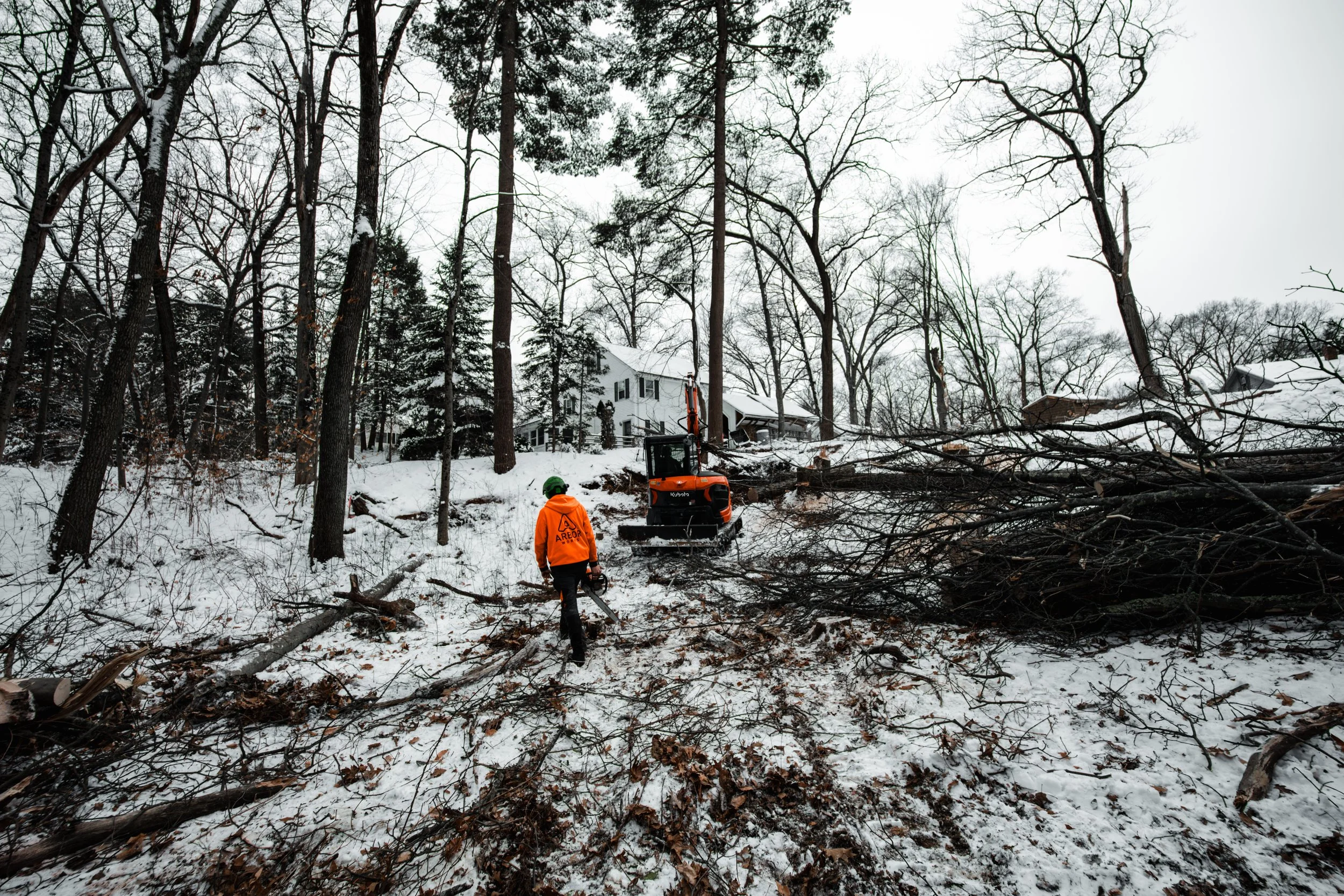 Arbor Works 2025-59.jpg