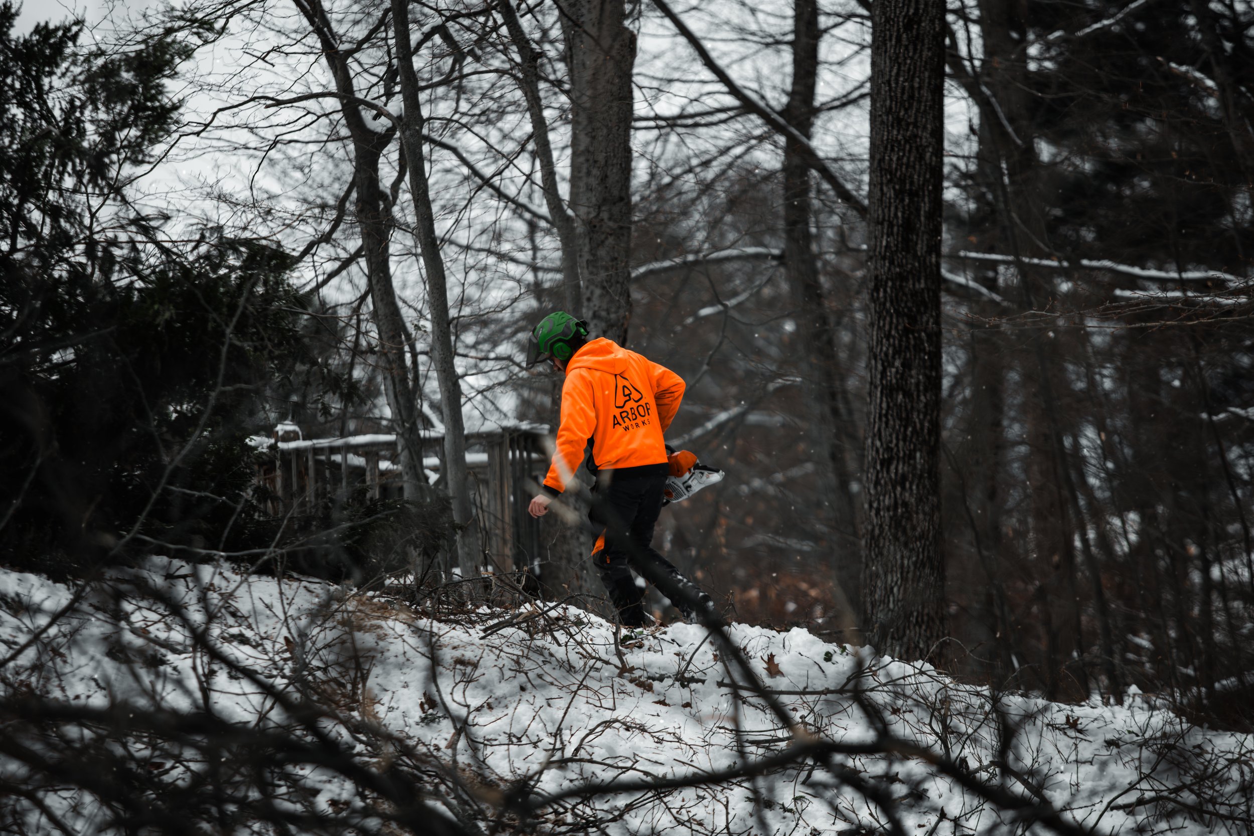 Arbor Works 2025-42.jpg