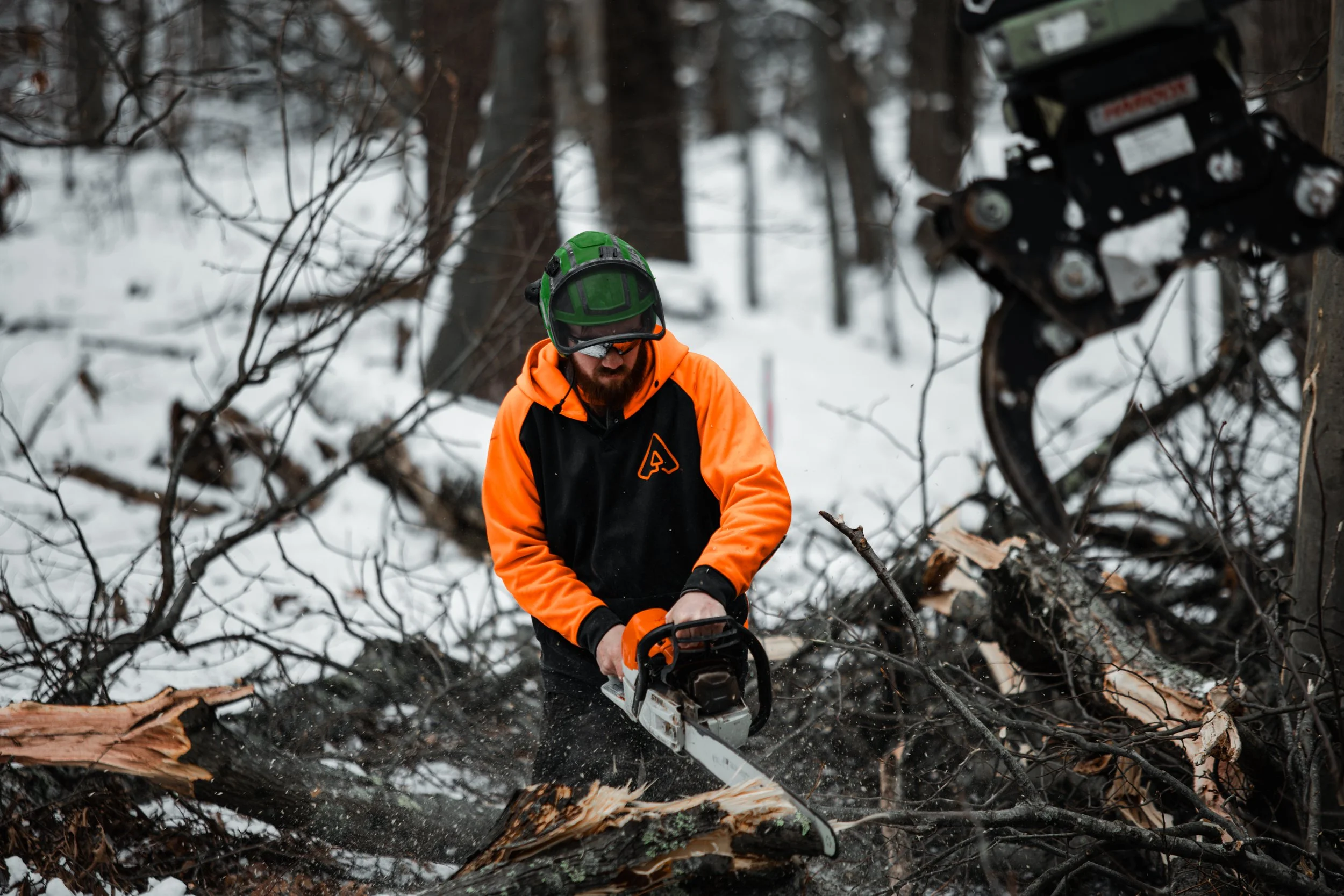 Arbor Works 2025-41.jpg