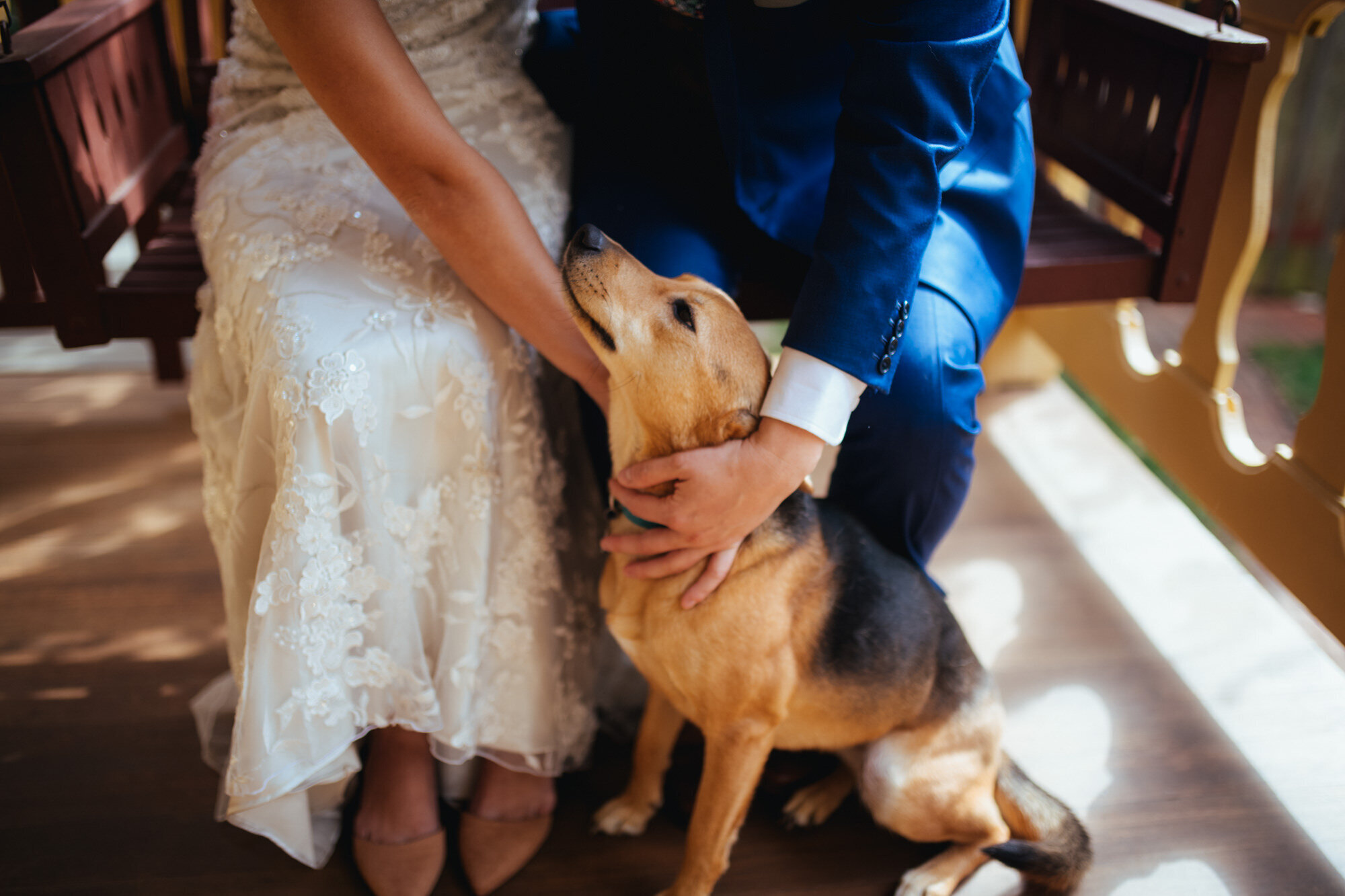 Couple in wedding attire petting a dog in Richmond VA Shawnee Custalow Queer Wedding Photographer