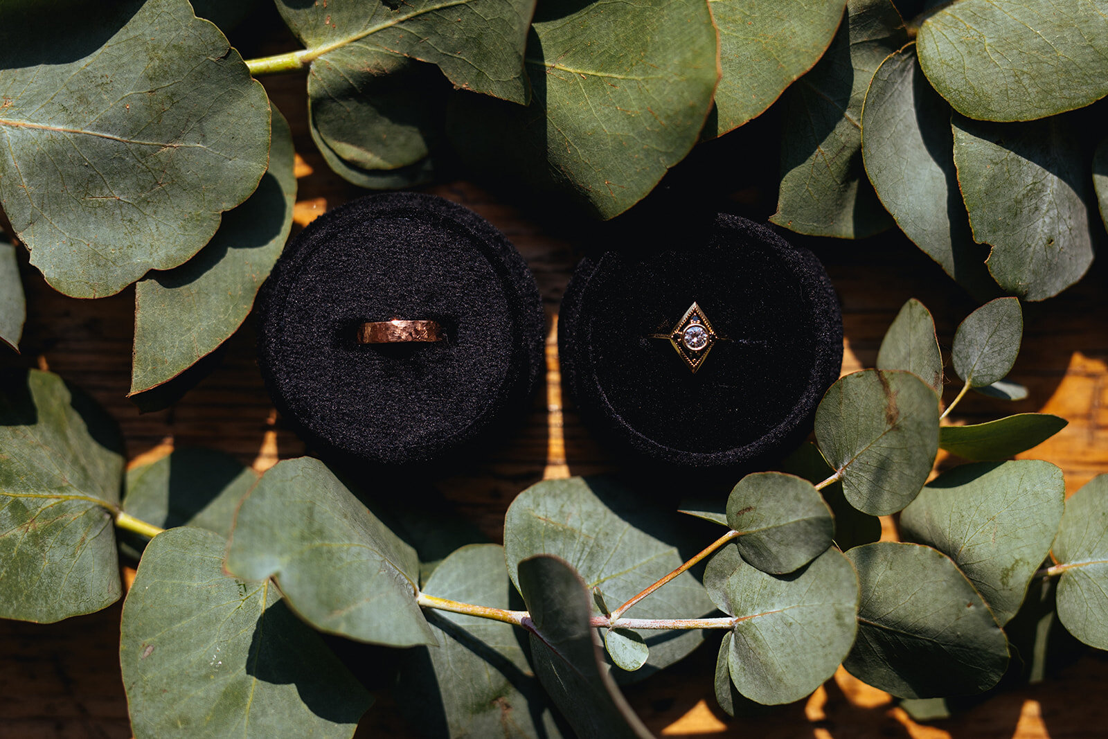 Wedding rings in black round boxes by greenery in Red Hook Brooklyn Shawnee Custalow Queer Wedding Photographer