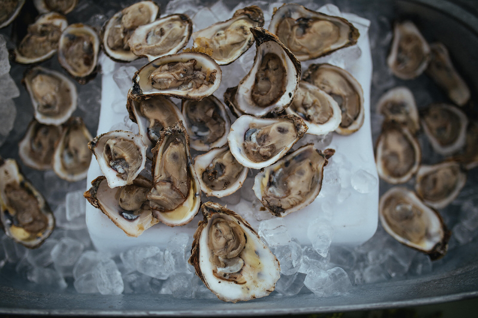 Oysters on ice in Annapolis MD Shawnee Custalow Queer Wedding Photography