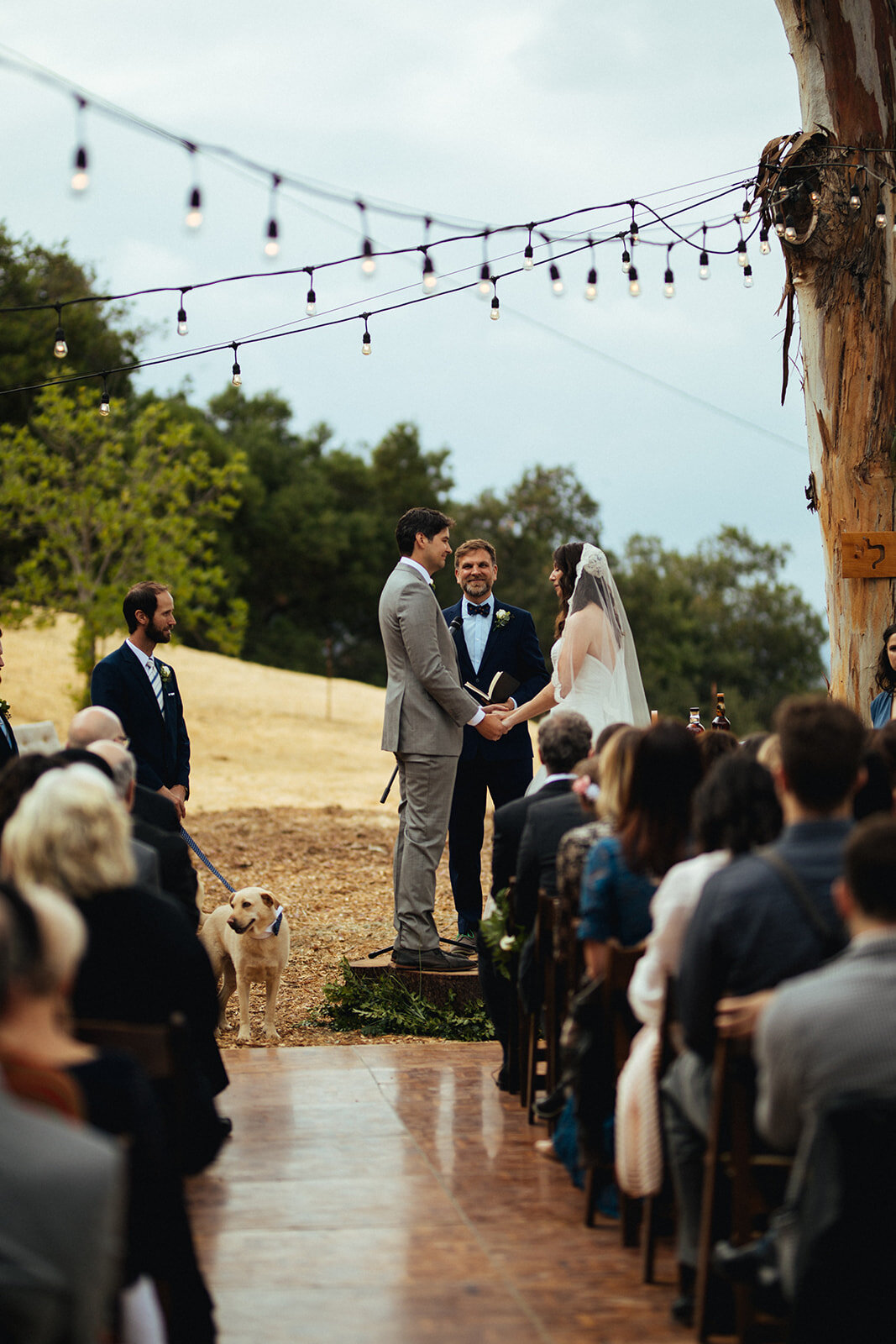 Couple getting married in backyard ceremony in Los Angeles Shawnee Custalow Queer Wedding Photography